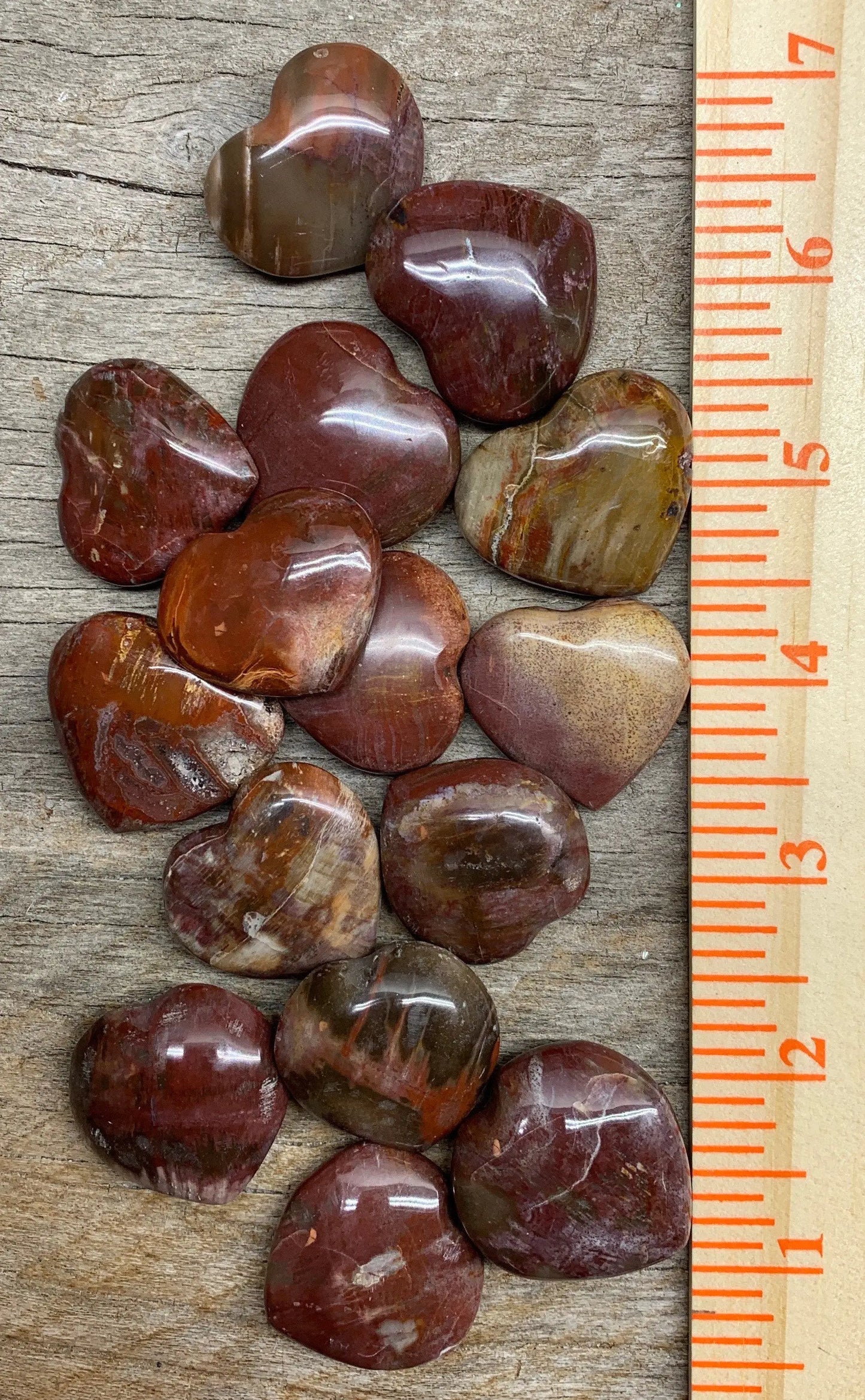 Petrified Wood Heart 1”- 1 1/4” 0533 Shop Wholesale Crystals