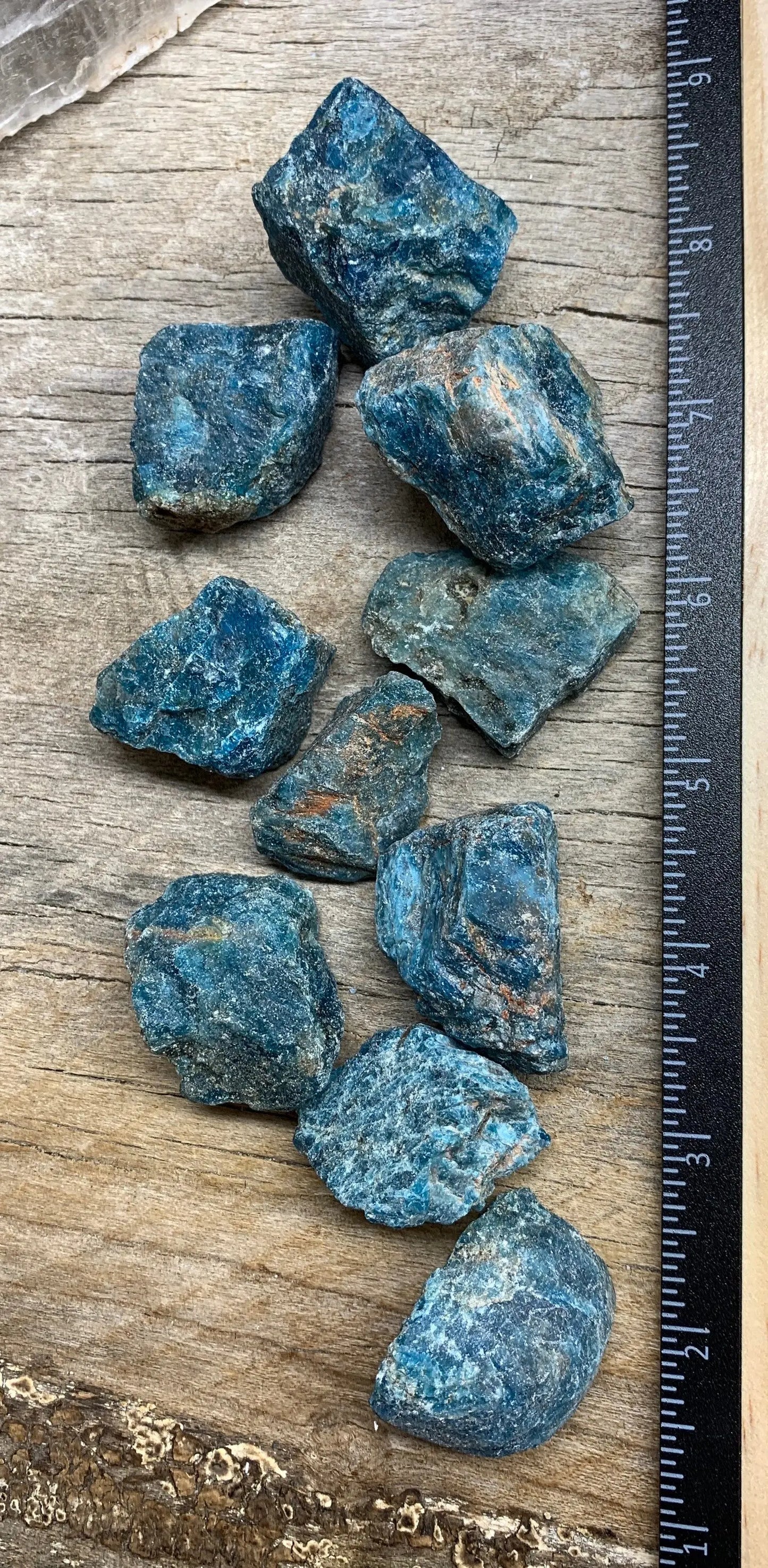 Raw Blue Apatite 1272 (1 1/4- 1 3/4”) Shop Wholesale Crystals