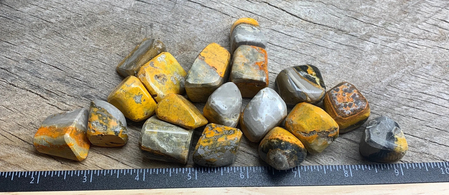 Bumblebee Jasper Tumbled Stone 0605 (1”- 1 1/2”) Shop Wholesale Crystals