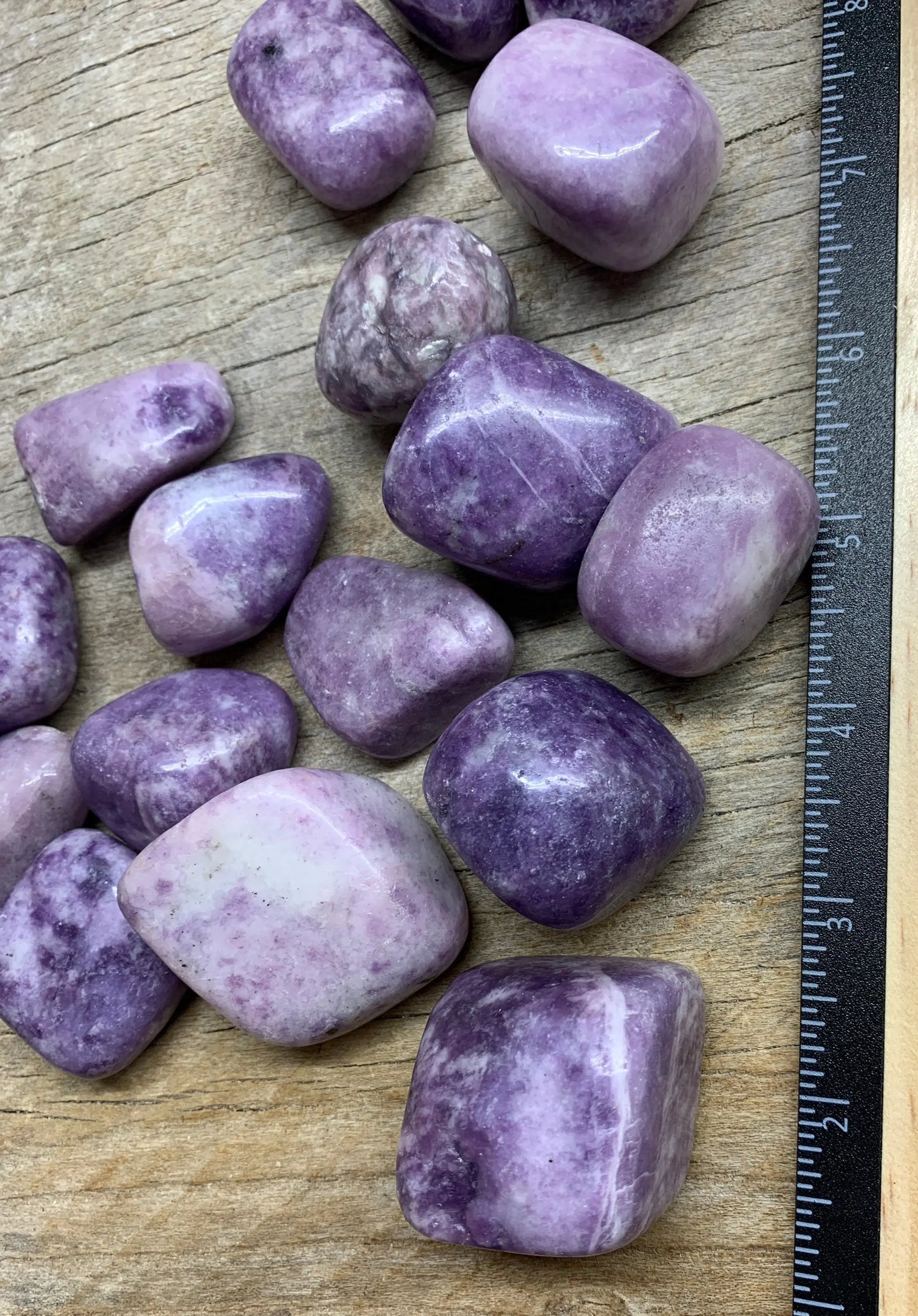 Lepidolite Palm Large Tumbled Stone 1559 (1 3/4”- 2 1/2”) Shop Wholesale Crystals