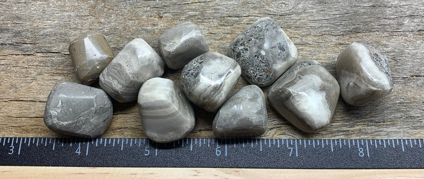 Gray Jasper Tumbled Stone 0333 (5/8”- 1”) Shop Wholesale Crystals