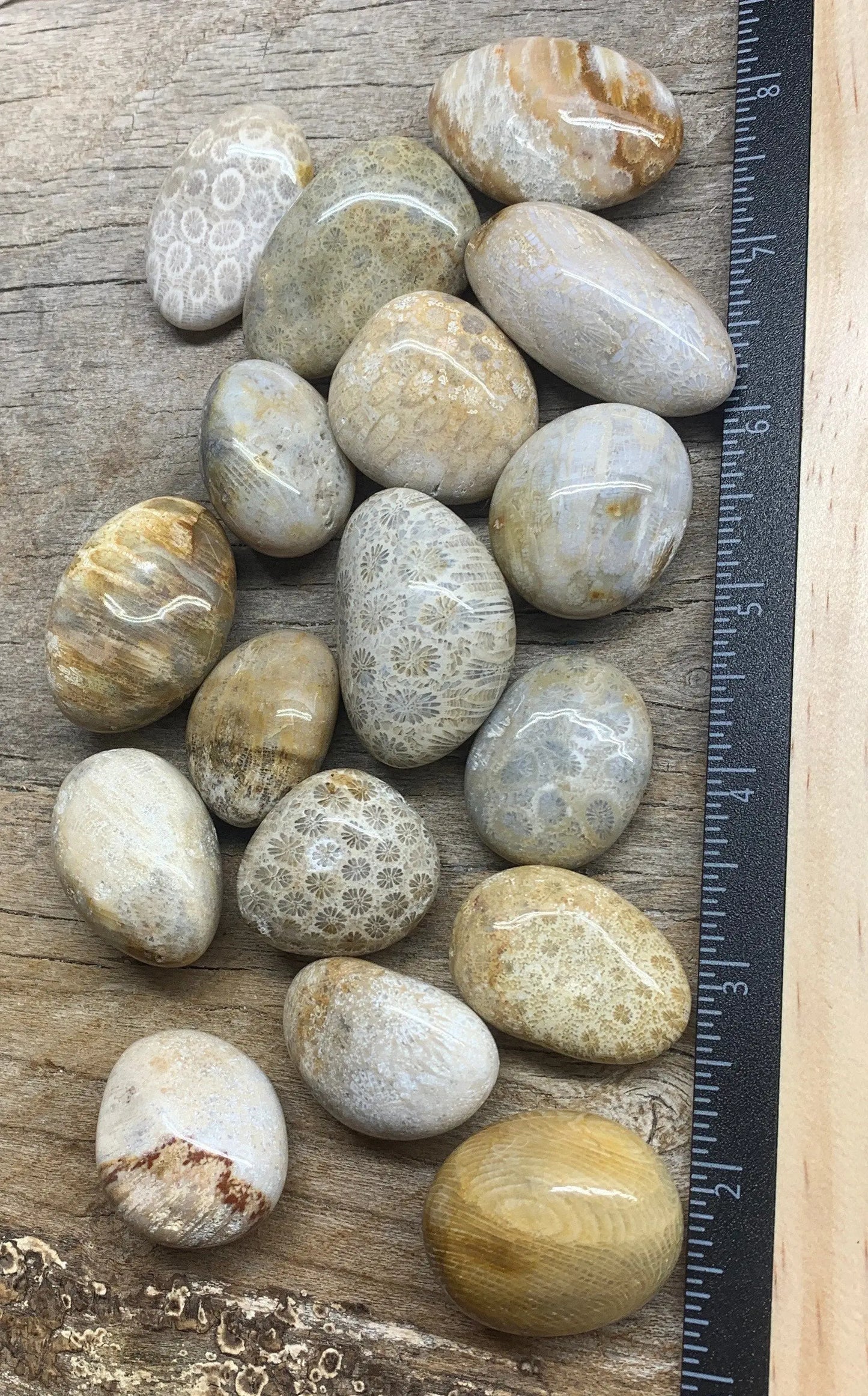 Coral Agate Tumbled Stone 1532 (1 1/8”- 1 3/4”) - Shop Wholesale Crystals