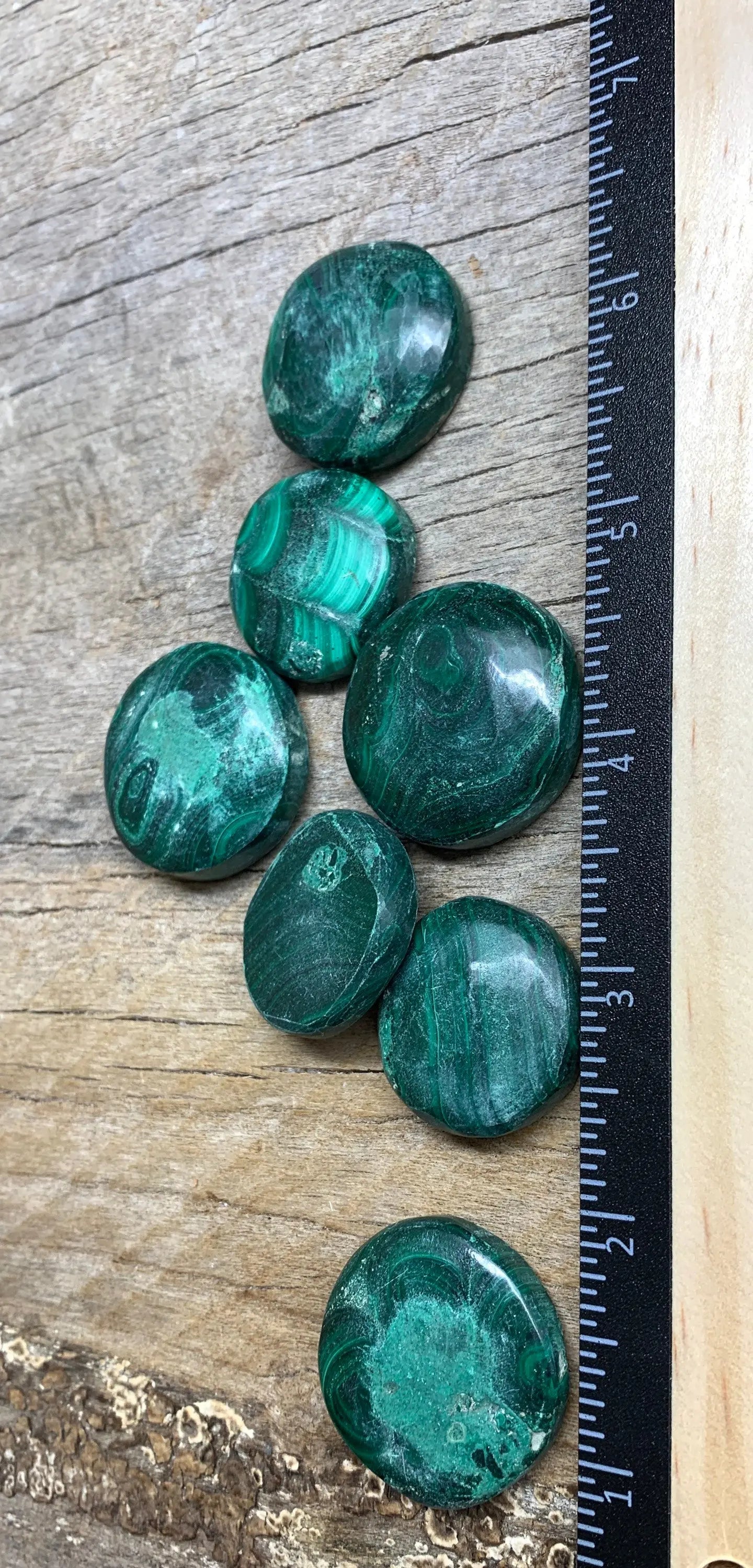 Malachite Disk, genuine, Natural (1”- 1 1/4”) 0200 - Shop Wholesale Crystals