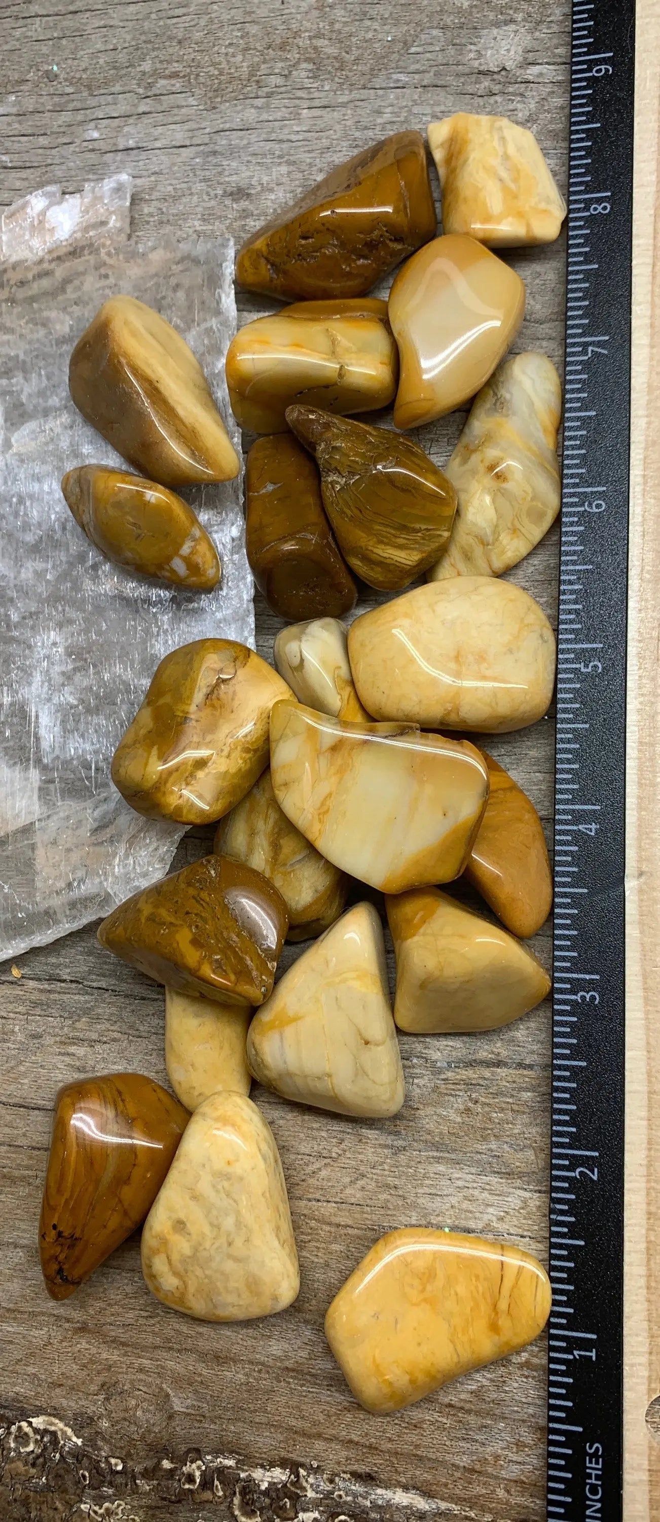 Yellow Jasper Tumbled Stone 0750 (1”- 1 1/2”) Shop Wholesale Crystals