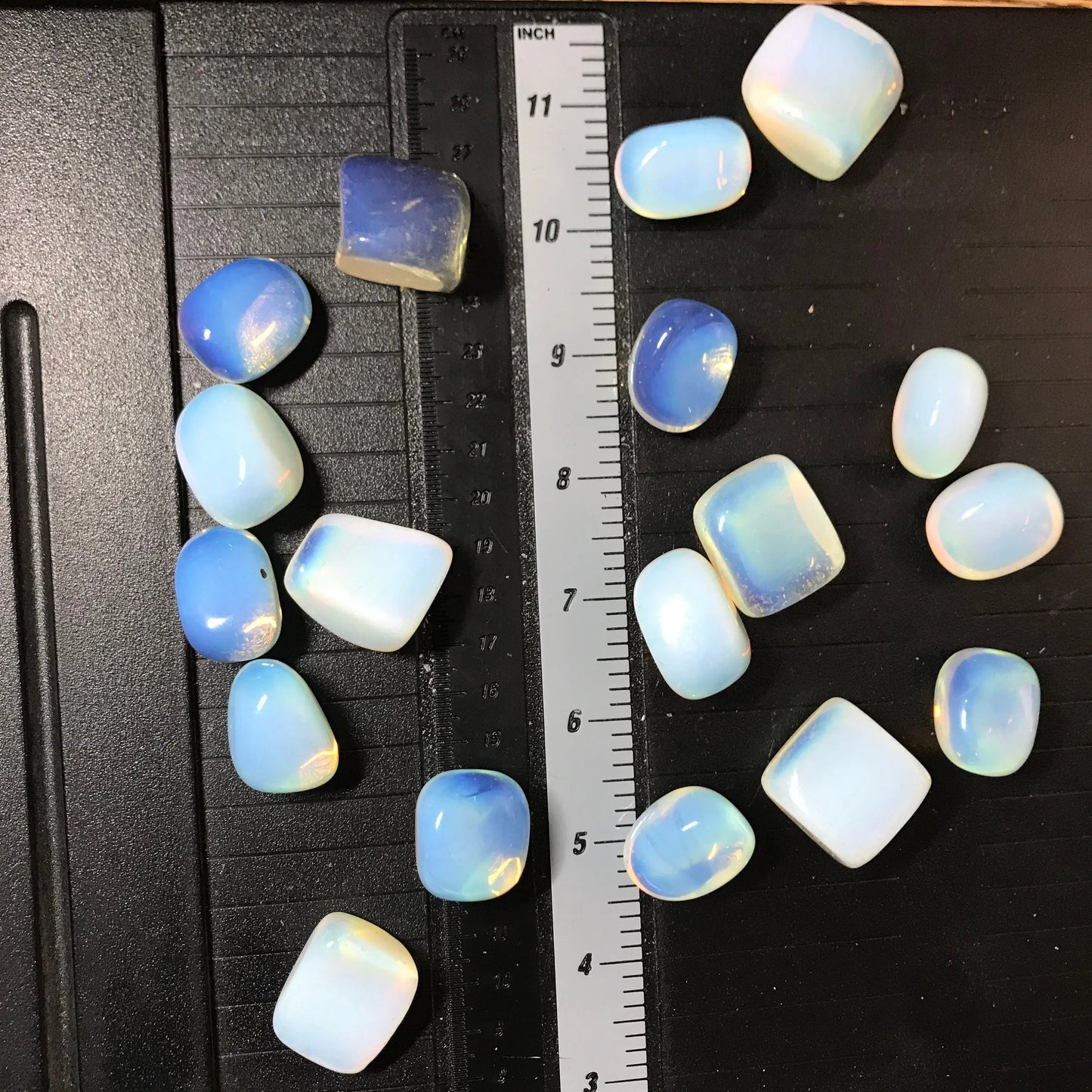 Tumbled Opalite (Approx 3/4" - 1 1/4") Polished Stone for Crystal Grid, Craft Supply BIN-1530 Shop Wholesale Crystals