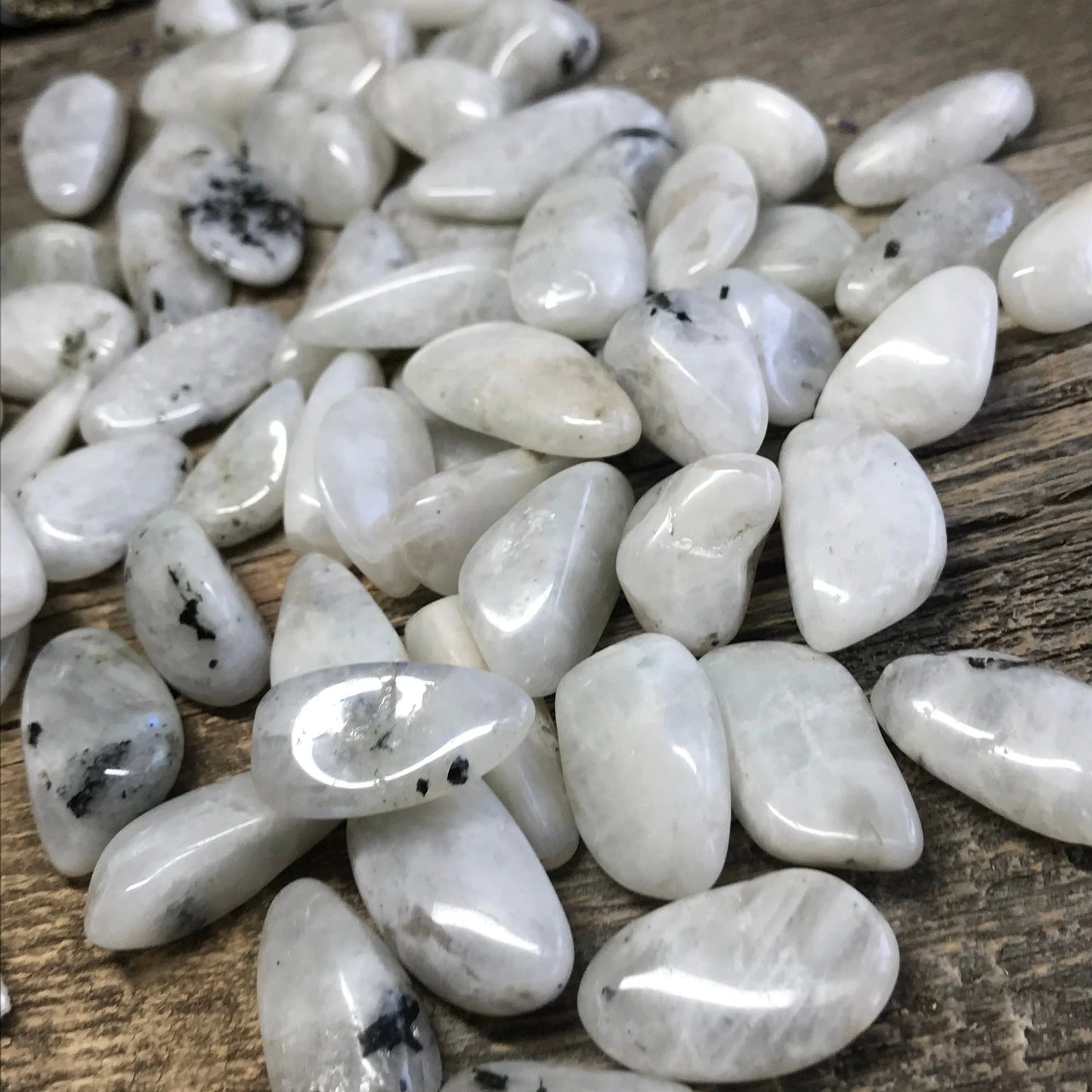 Rainbow Moonstone, Polished Tumbled Stone (Approx 3/4 - 1" long) Polished Iridescent Stone BIN-1445 Shop Wholesale Crystals