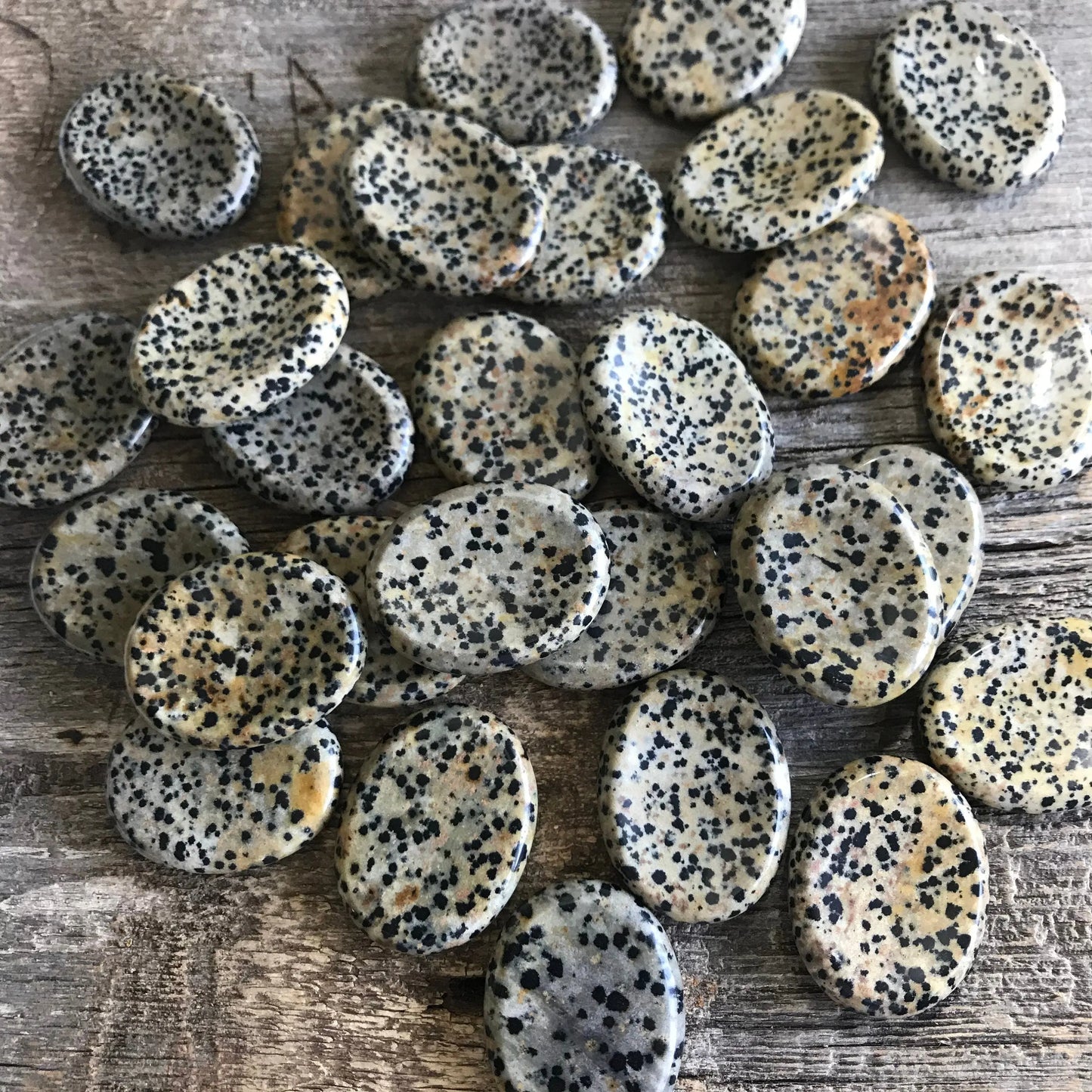 Dalmatian Jasper Worry Stone 1389 (Approx 1 1/2" - 1 3/4") Polished Stone for Wire Wrapping or Crystal Grid Supply Shop Wholesale Crystals