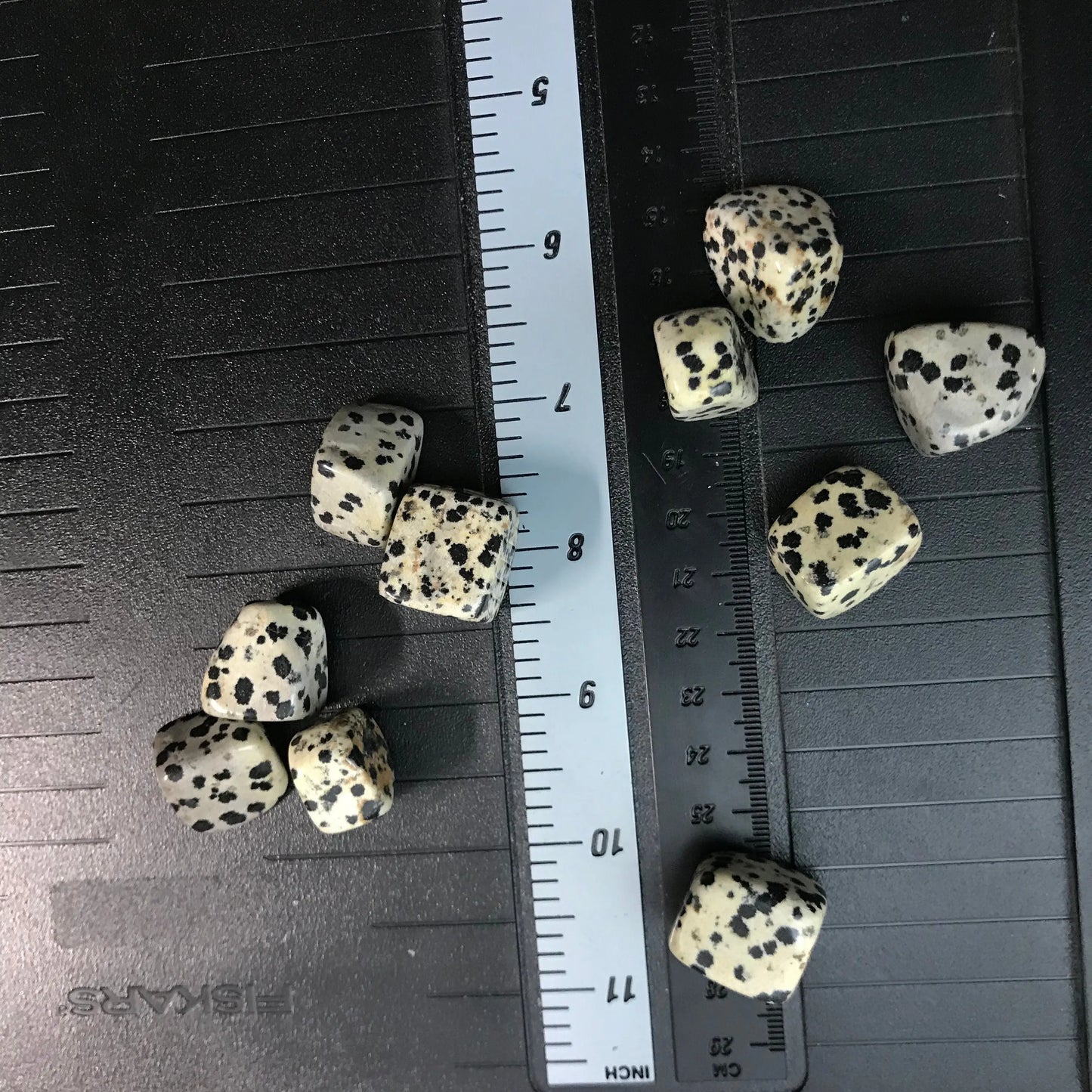 Dalmatian Jasper, Polished Tumbled Stone (Approx 4/5" long) Polished Stone, for Wire Wrapping or Crystal Grid Supply 0628 Shop Wholesale Crystals