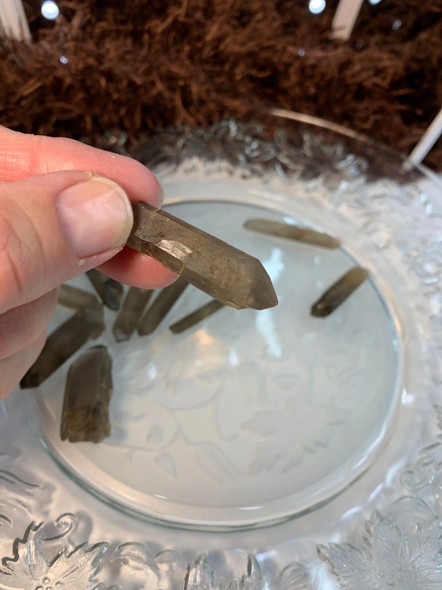 Smoky Quartz Crystal, Point, Raw, Beautiful 0482 (Approx. 1 1/2”) Shop Wholesale Crystals