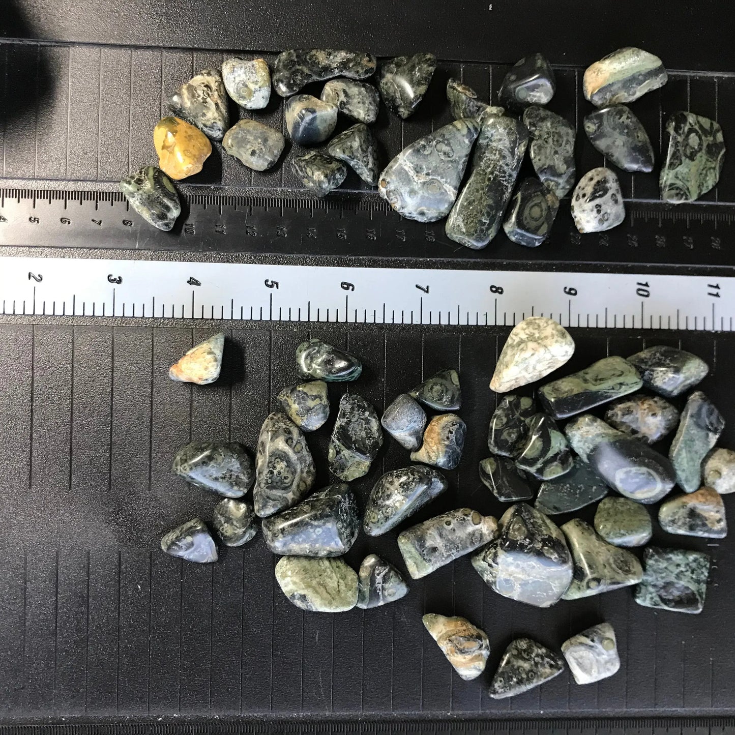 Kambaba Jasper, Polished Tumbled Stone (Approx. 5/8" - 1 1/8" long) Polished Stone, for Wire Wrapping or Crystal Grid Supply 0639 Shop Wholesale Crystals