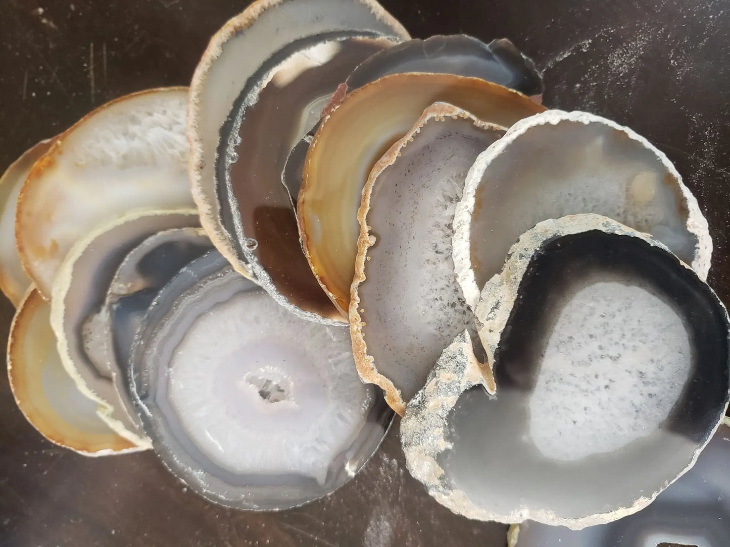 Agate Slice, Polished (Approx. 2 1/2" - 3 1/2") 0239 Shop Wholesale Crystals