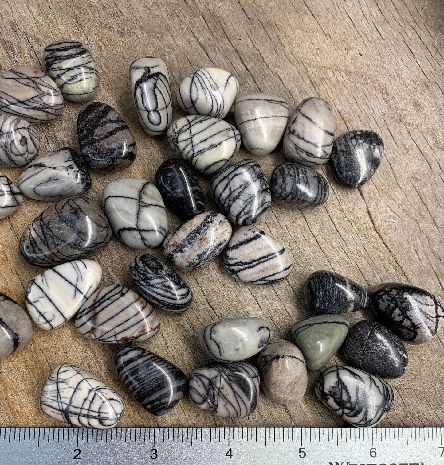 Spider Web Jasper (Approx. 3/4"- 1 1/4") BIN-1299 Tumbled Stone - Shop Wholesale Crystals