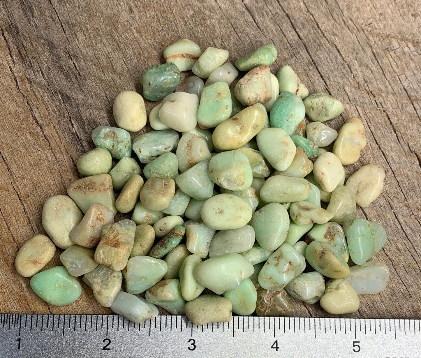 Chrysoprase Tumbled Stone 0748 (Approx. 3/8”- 5/8”) Shop Wholesale Crystals