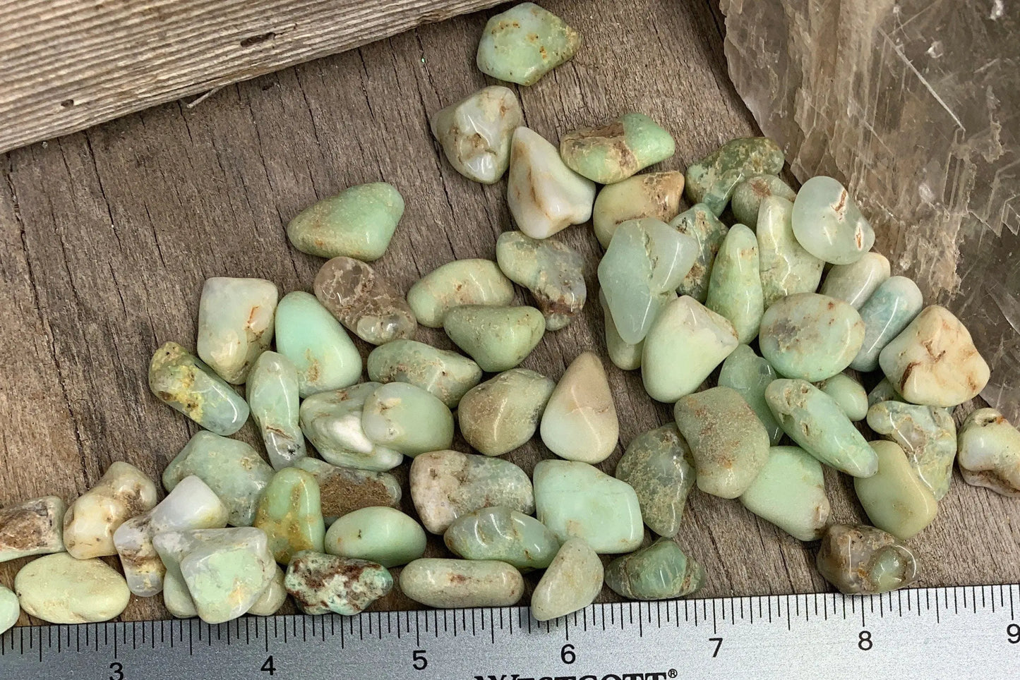 Chrysoprase Tumbled Stone 0686 (Approx. 5/8”- 3/4”) Shop Wholesale Crystals