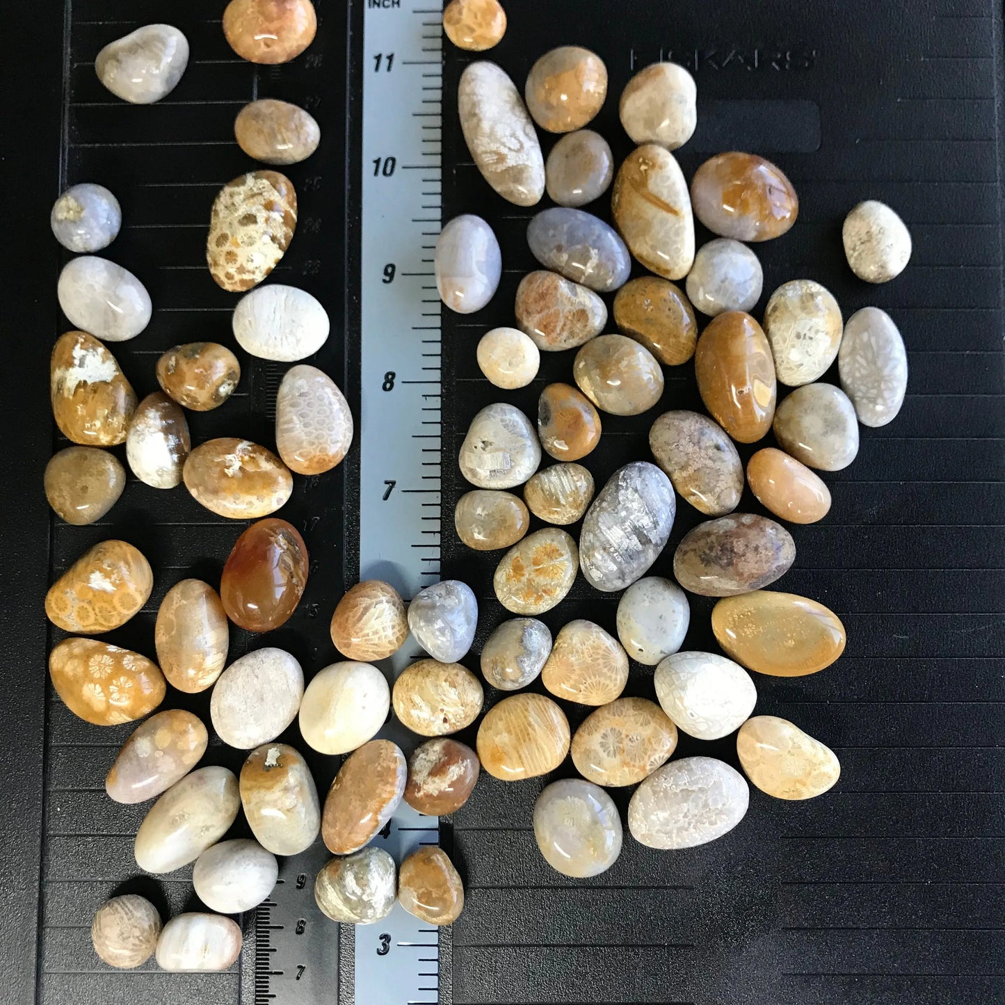 Coral Agate, Tumbled Stone (Approx 1/2" - 1" long) for Wire Wrapping or Crystal Grid Supply 1218 - Shop Wholesale Crystals
