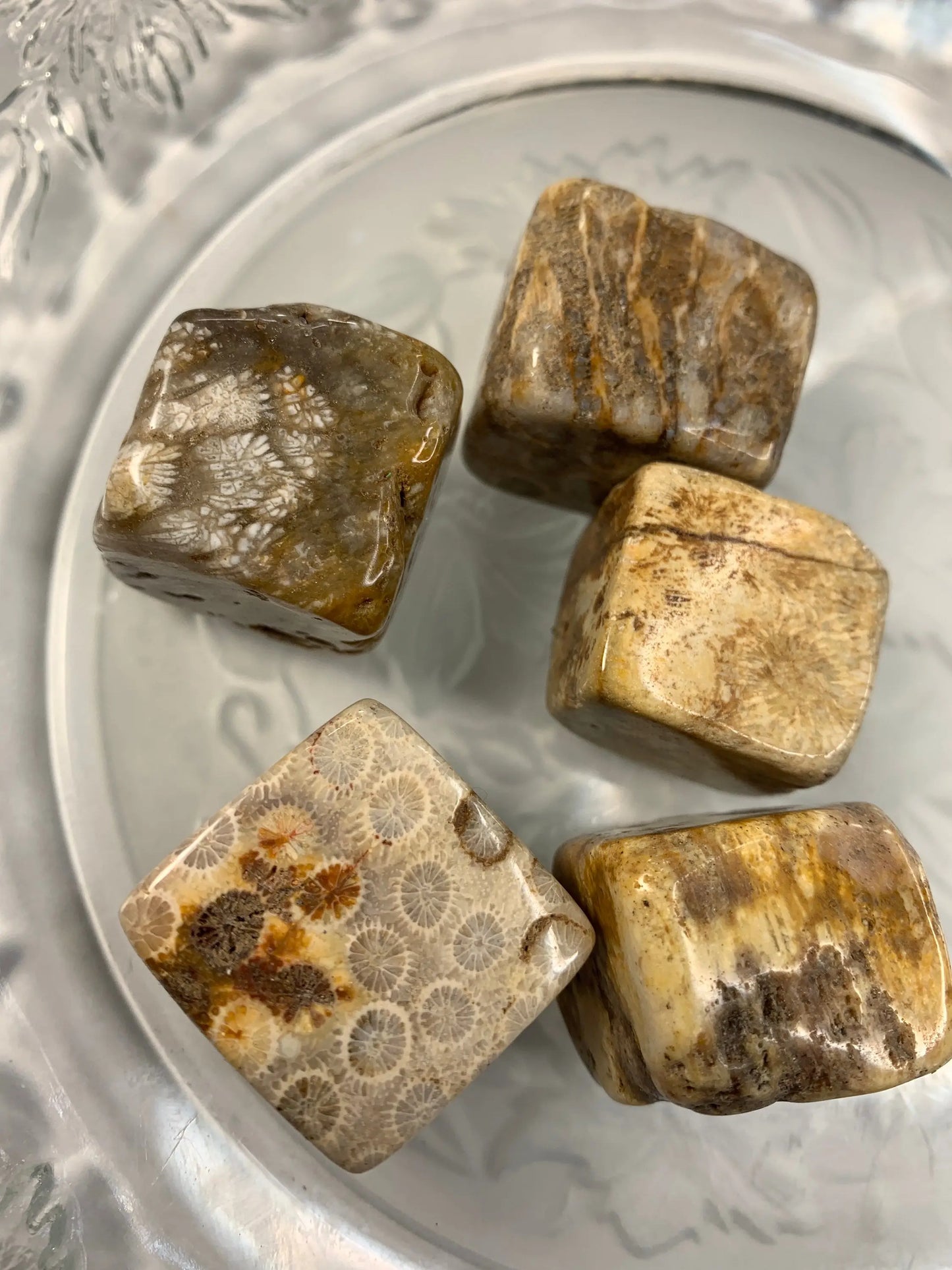 Coral Agate Cube, Past Life Healing, Generational Healing, Water Element 1524 Shop Wholesale Crystals