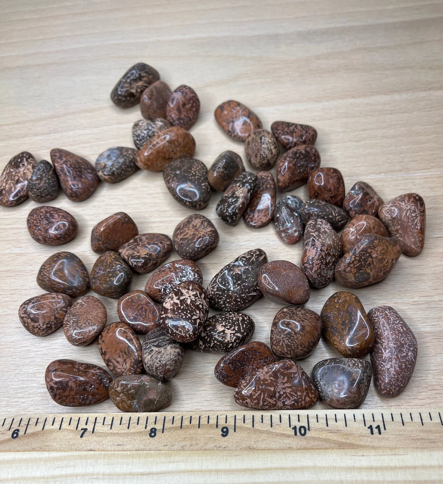 Elephant Skin Jasper Tumbled Stone BIN-1436 Shop Wholesale Crystals