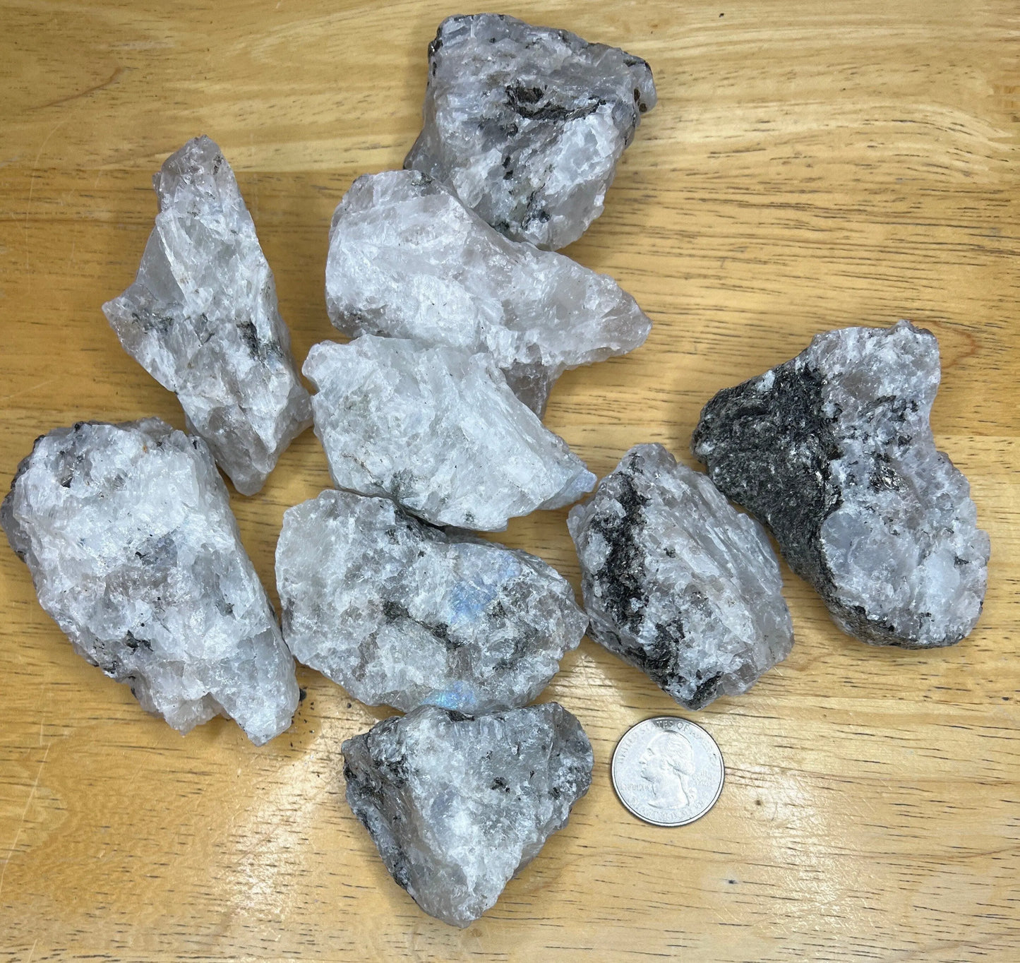 Rainbow Moonstone, Raw 1254 (Approx. 2”- 3”) Shop Wholesale Crystals