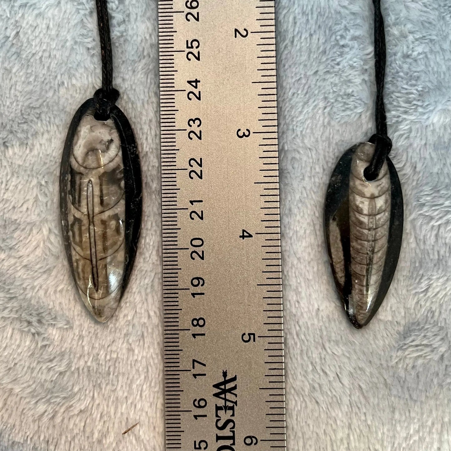 Orthoceras Fossil Necklace, Adjustable Cord 1162 Shop Wholesale Crystals