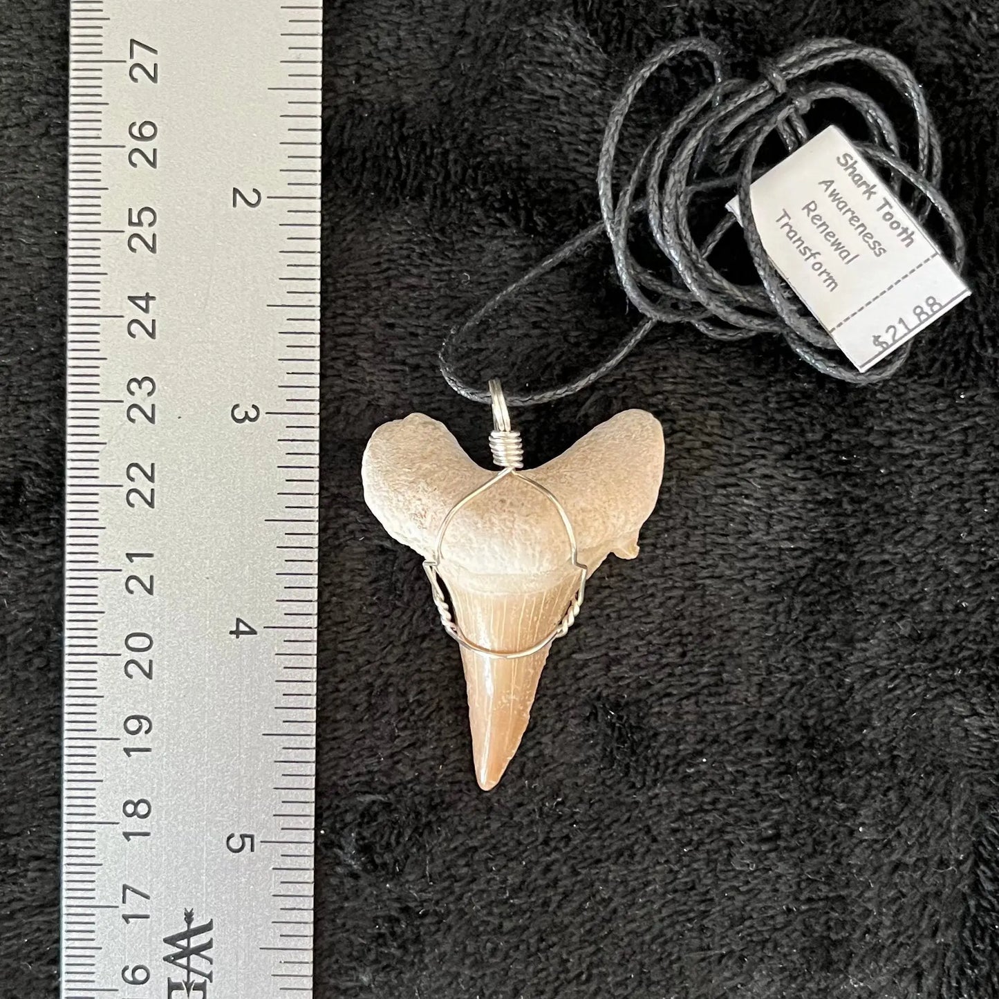 Large Shark Tooth Fossil Wire Wrapped Necklace NCK-2704 Shop Wholesale Crystals