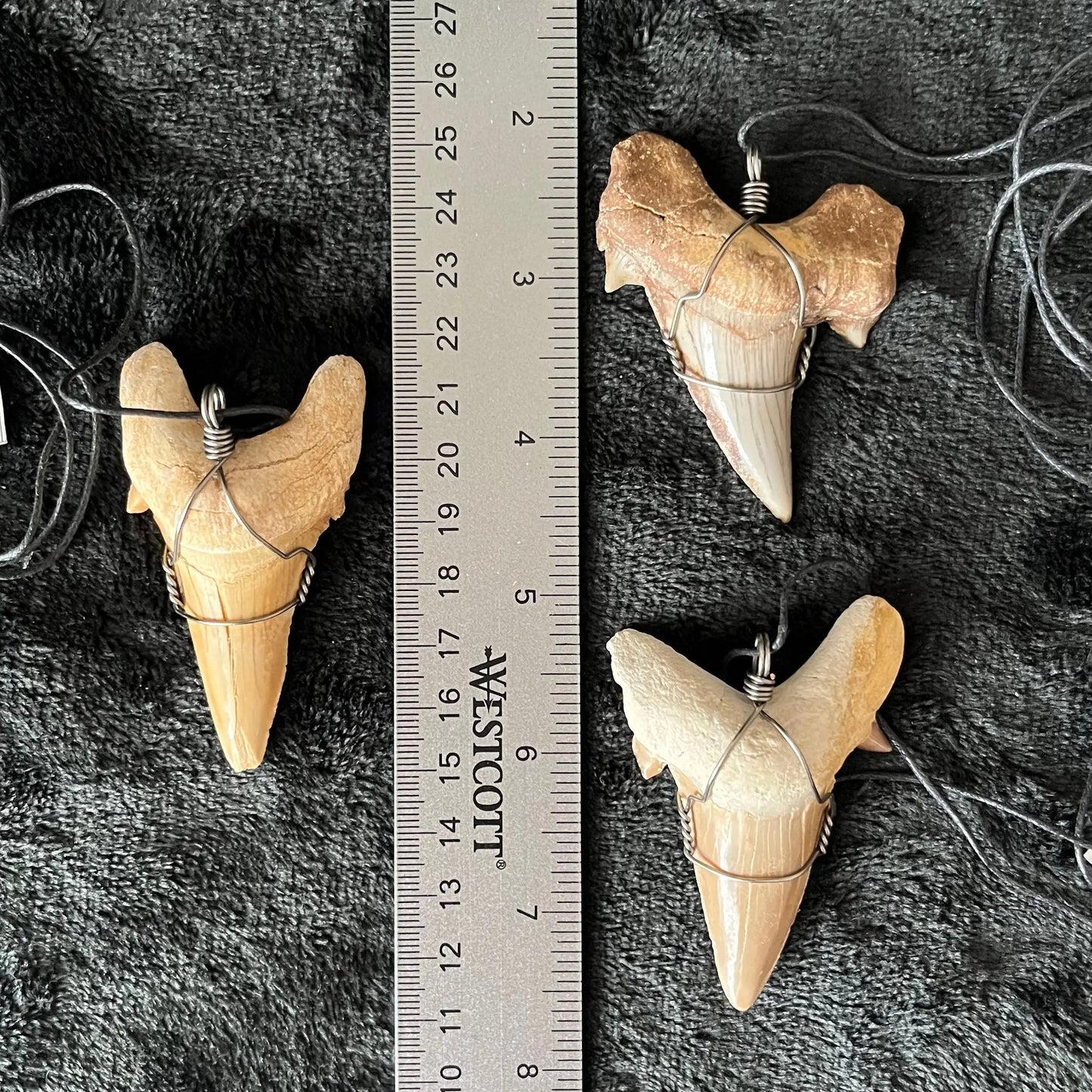 Shark Tooth Fossil Wire Wrapped Necklace, Handmade, Very Large NCK-2791 Shop Wholesale Crystals