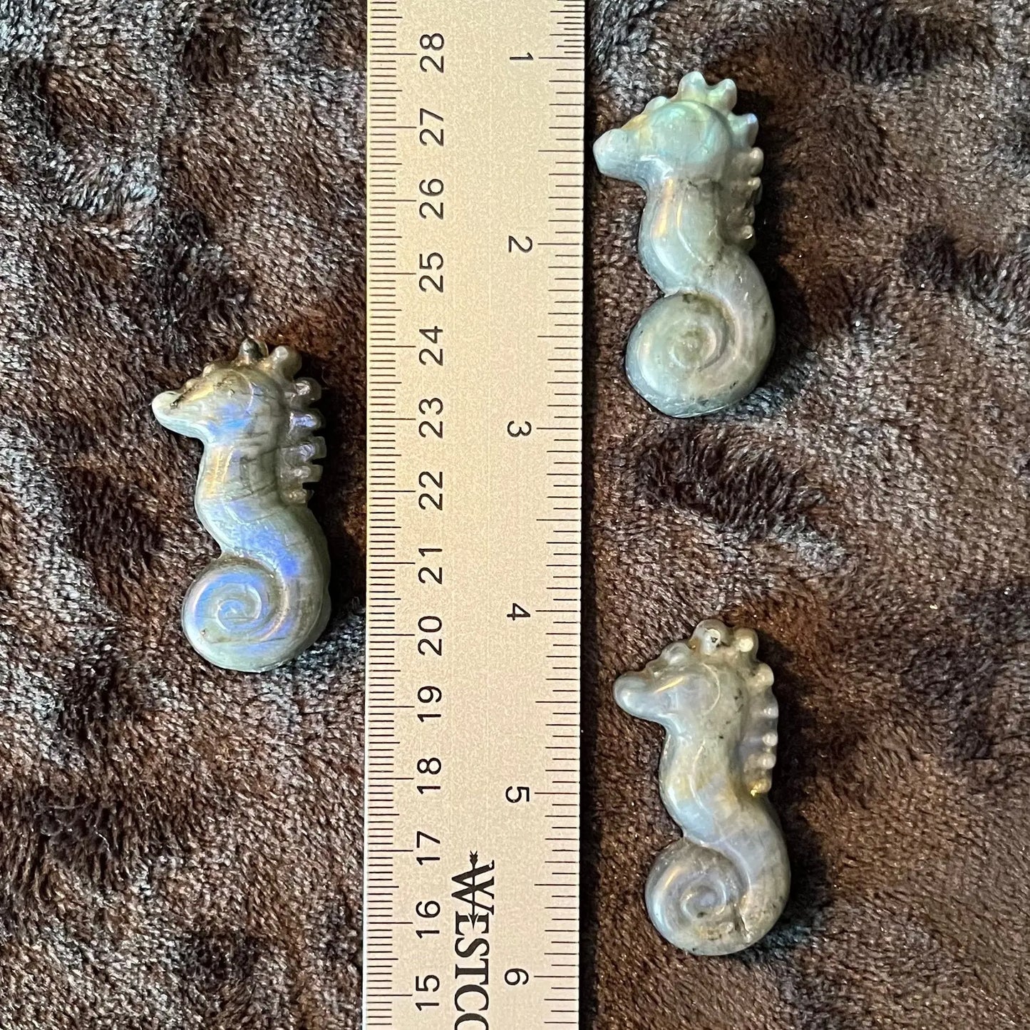 Labradorite Seahorse Figurine (Approx. 1 5/8”) 0988 Shop Wholesale Crystals