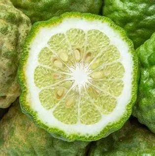 Bergamot Essential Oil 5 ml 1623 Shop Wholesale Crystals