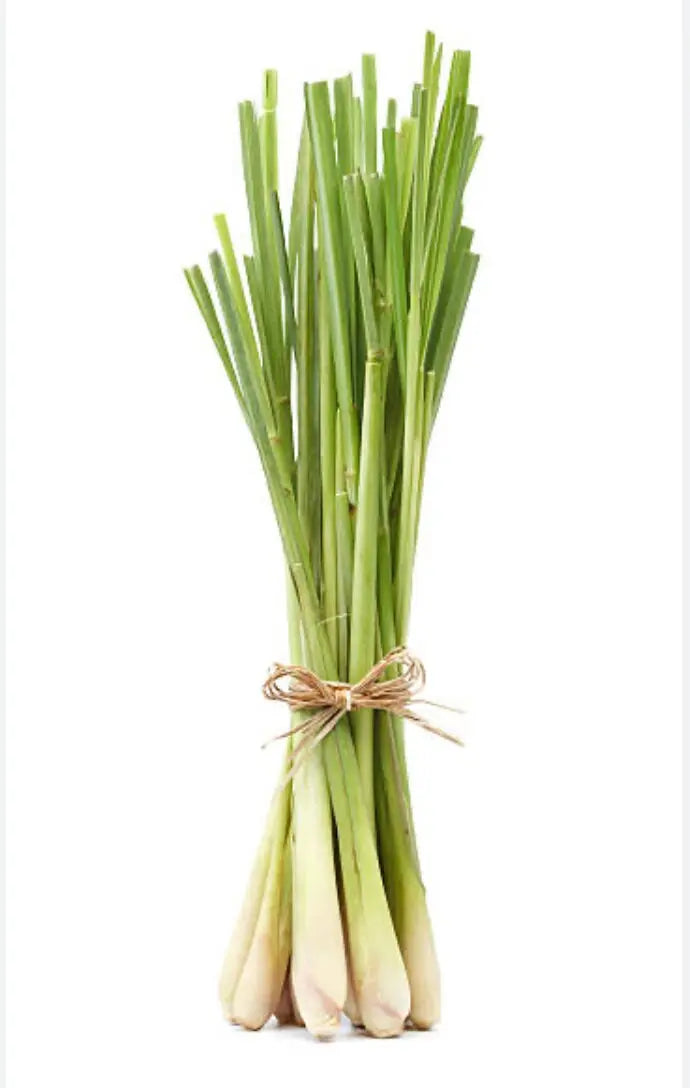 Lemongrass Essential Oil 10 ml 1626 Shop Wholesale Crystals