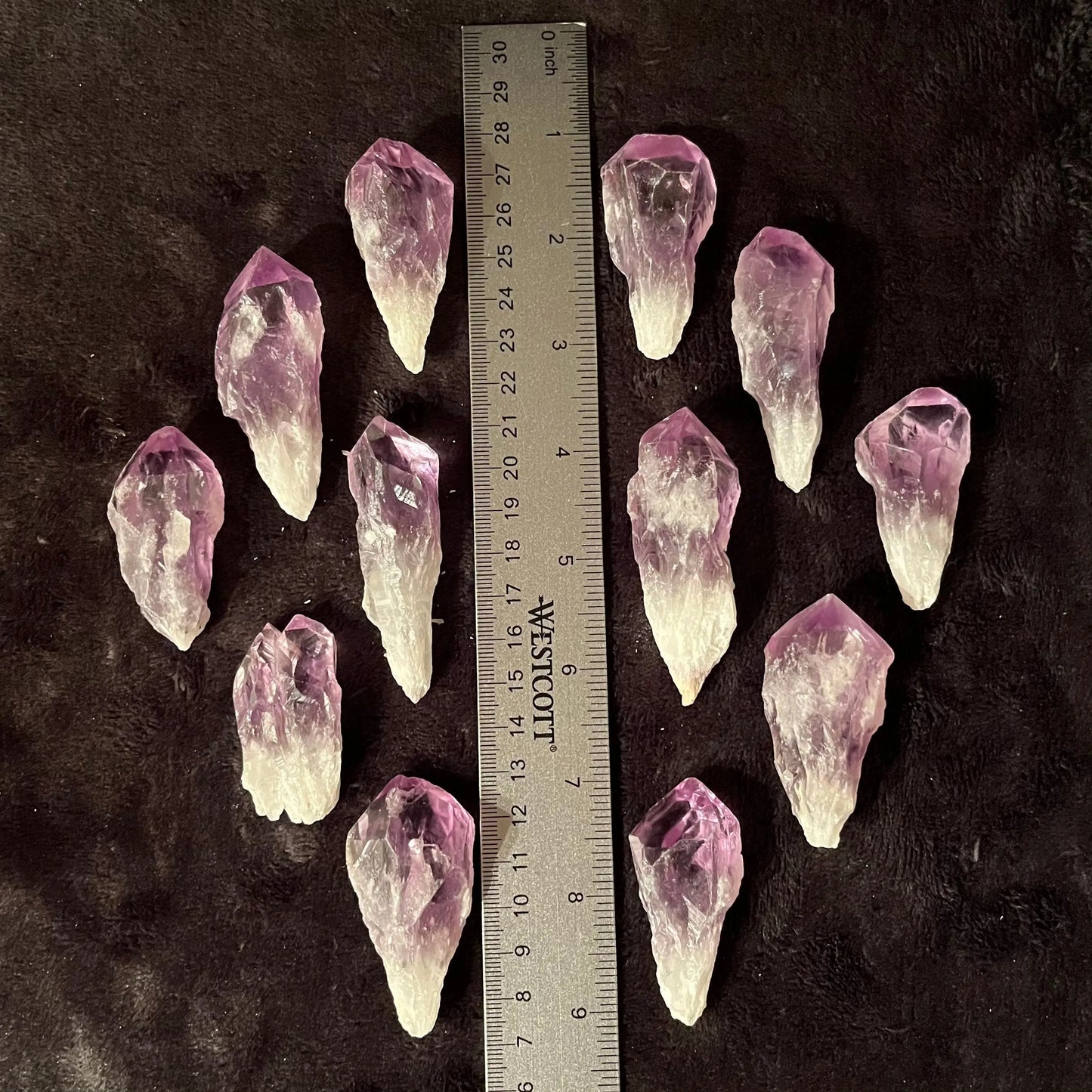 Dragon Tooth Amethyst, A Grade (Approx. 1 3/4”-2 1/2”) 0461 Shop Wholesale Crystals