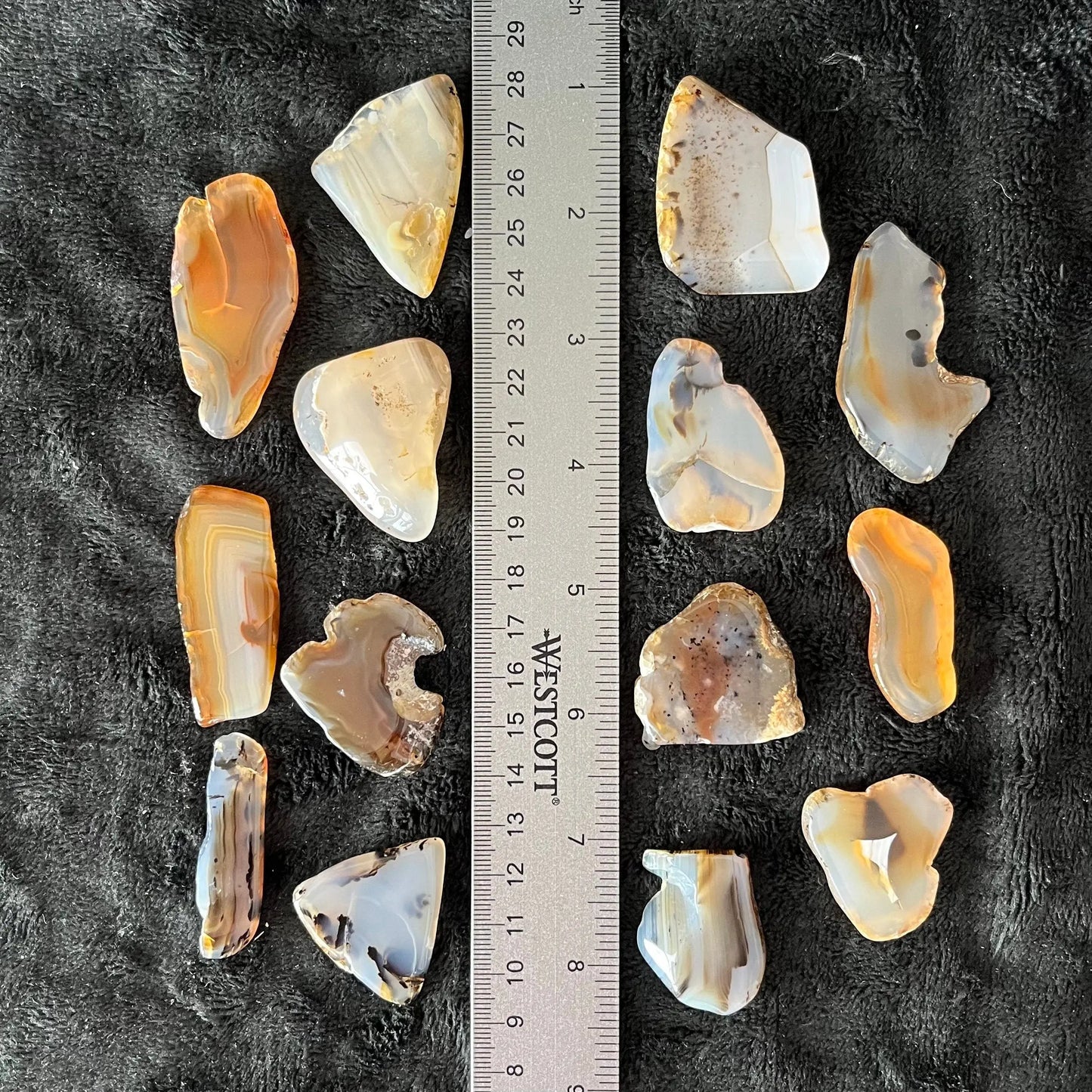 Montana Moss Agate Tumbled Slice (Approx. 1 1/2” - 1 3/4”)) BIN-1482 Shop Wholesale Crystals