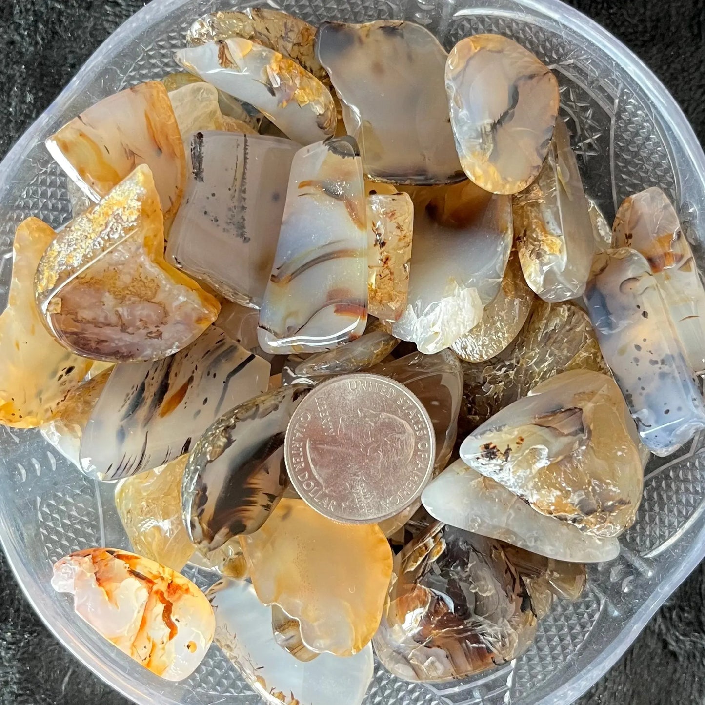 Montana Moss Agate Tumbled Slice (Approx. 3/4” - 1 1/4”) 0751 Shop Wholesale Crystals