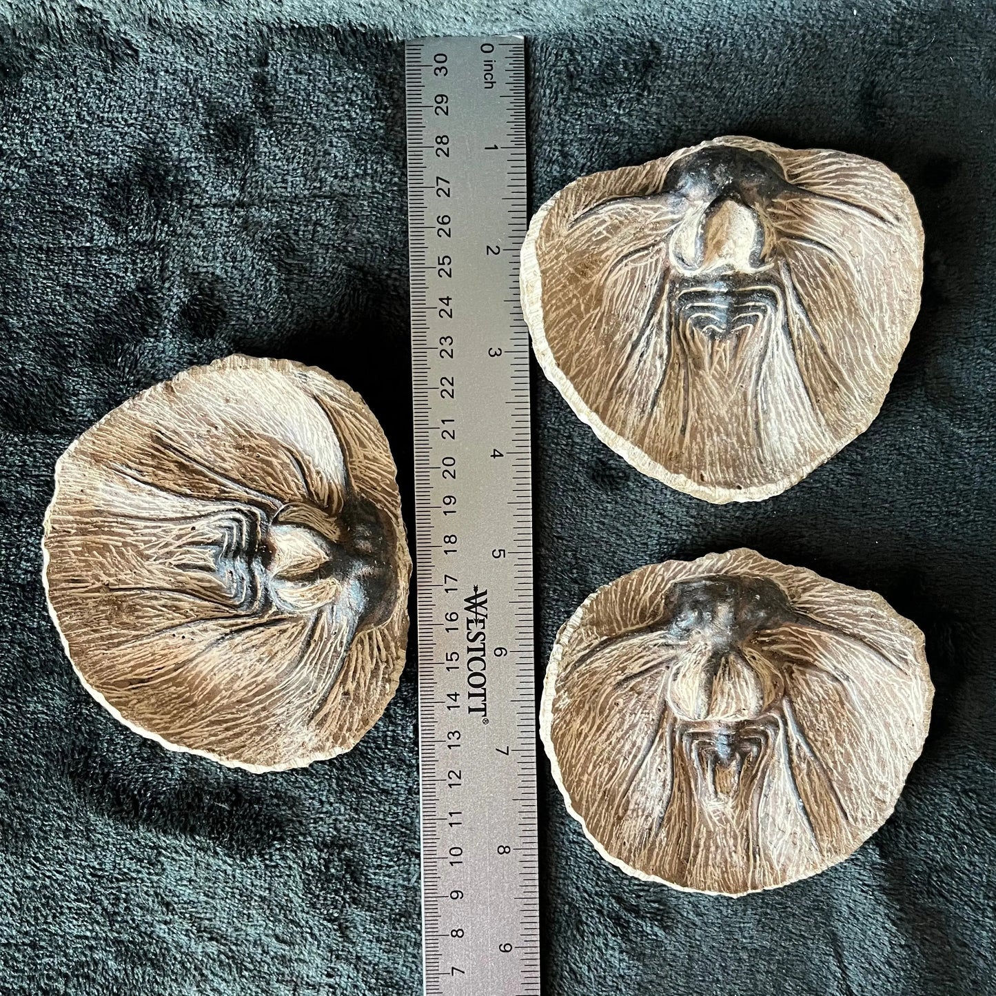 Trilobite Fossil Replica (Morocco) (Approx. 4 1/2” - 5 1/2”) S-0041 Shop Wholesale Crystals