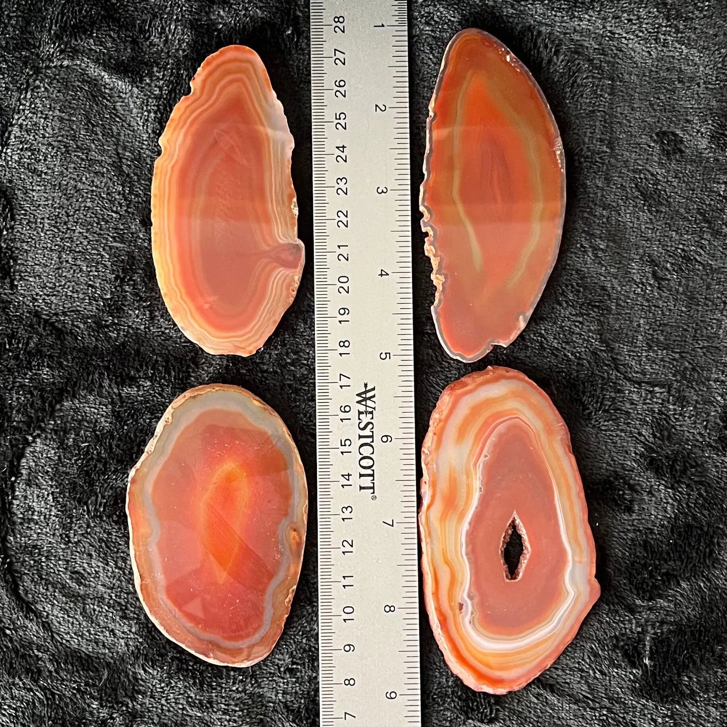 Agate Slice, Carnelian Orange (Approx. 3”-3 1/2”) 0336 Shop Wholesale Crystals