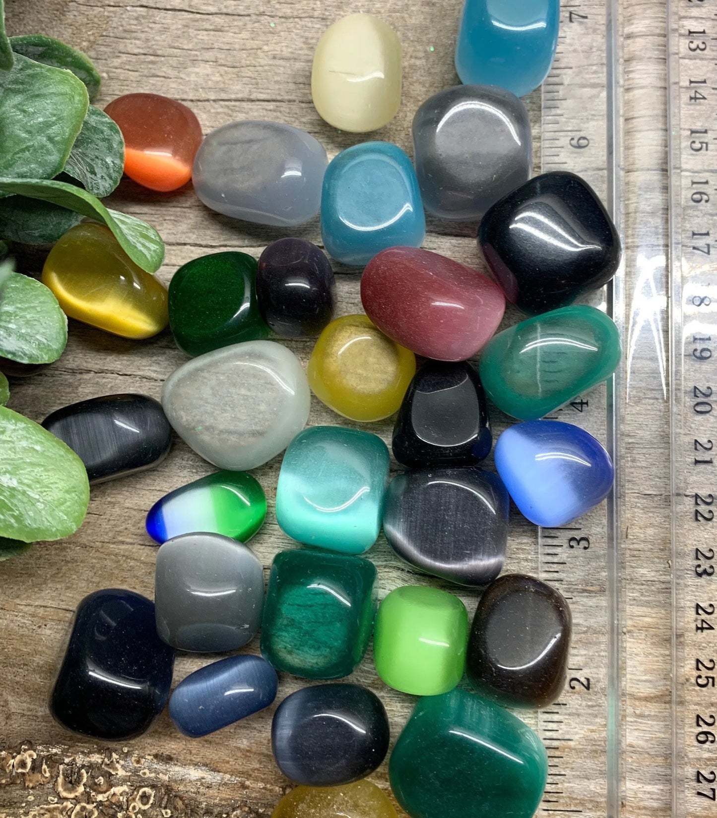 Mystery Cats Eye Stone, Surprise Fiber Optic Stone BIN-1416 (Approx. 1" - 1 1/4") Shop Wholesale Crystals