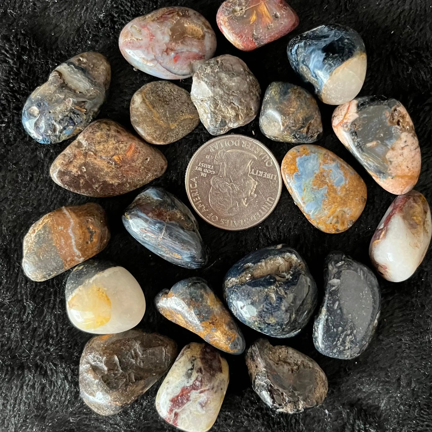 Pietersite Tumbled Stone (Approx. 5/8” - 3/4”) 1535 Shop Wholesale Crystals