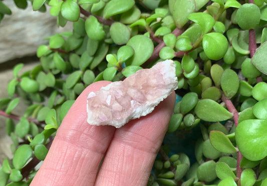 Pink Amethyst Choique Mine ( Approx. 1 1/2”)   Pehuenches - Neuquén Argentina, Heart Healing, Gift Item CRY-0317 Shop Wholesale Crystals