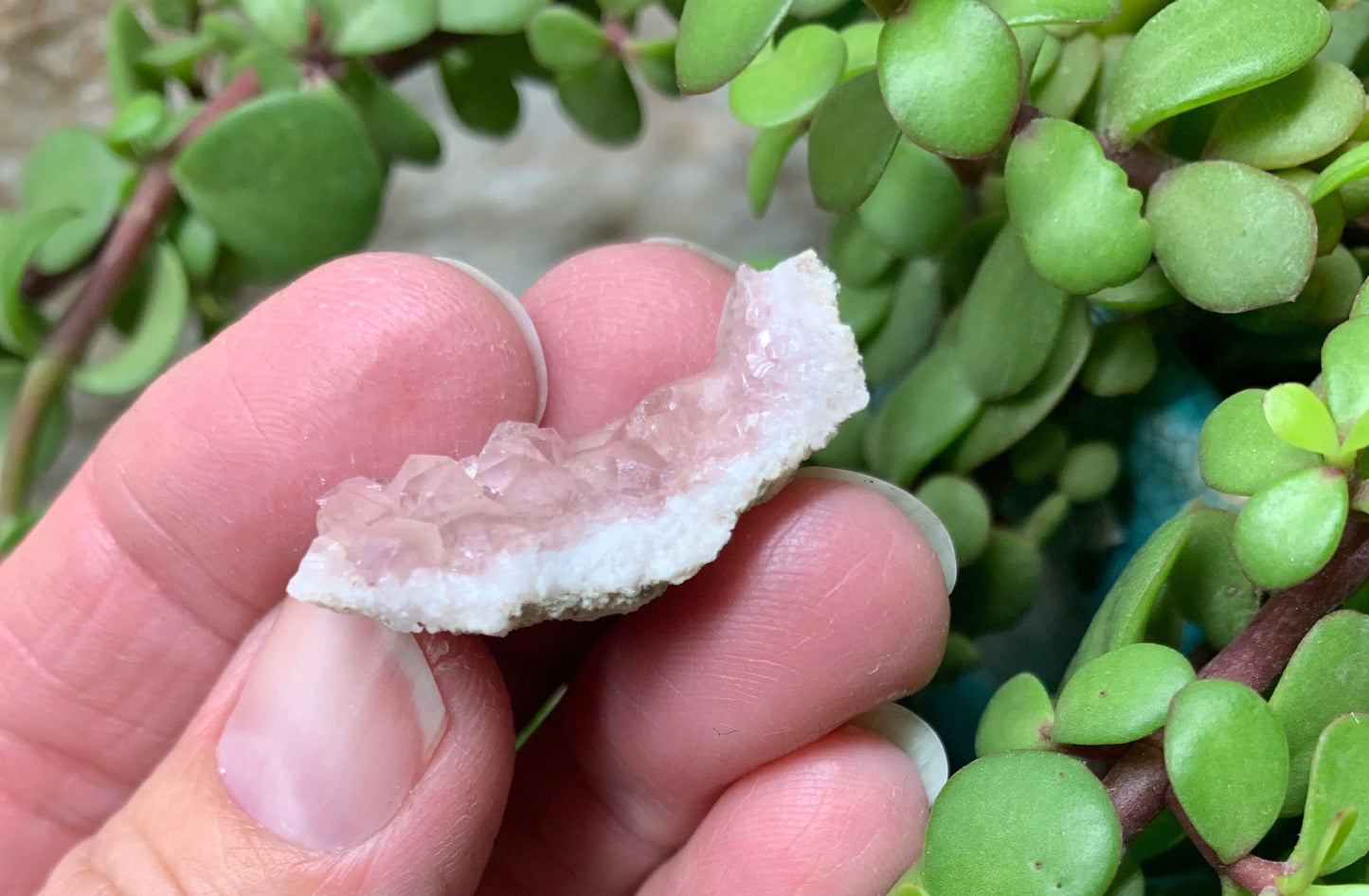 Pink Amethyst Choique Mine ( Approx. 1 1/2”)   Pehuenches - Neuquén Argentina, Heart Healing, Gift Item CRY-0317 Shop Wholesale Crystals