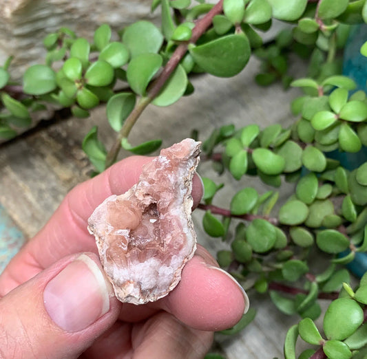 Pink Amethyst Choique Mine ( Approx. 1 1/2”)   Pehuenches - Neuquén Argentina, Heart Healing, Gift Item CRY-0316 Shop Wholesale Crystals