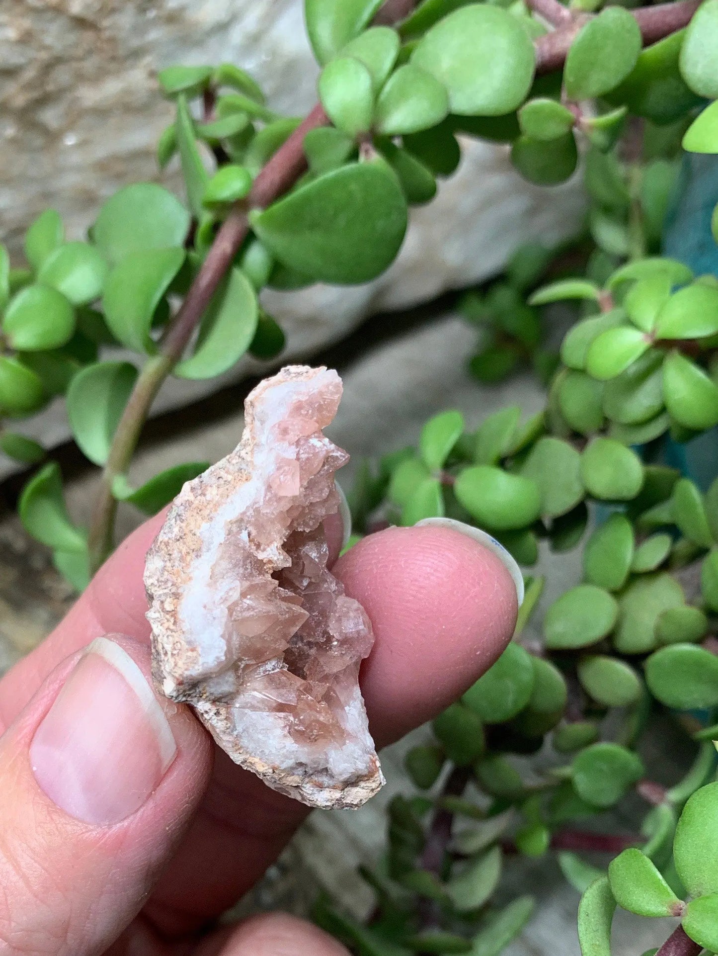 Pink Amethyst Choique Mine ( Approx. 1 1/2”)   Pehuenches - Neuquén Argentina, Heart Healing, Gift Item CRY-0316 Shop Wholesale Crystals