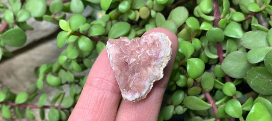 Pink Amethyst Choique Mine ( Approx. 1 1/4”)   Pehuenches - Neuquén Argentina, Heart Healing, Gift Item CRY-0313 Shop Wholesale Crystals