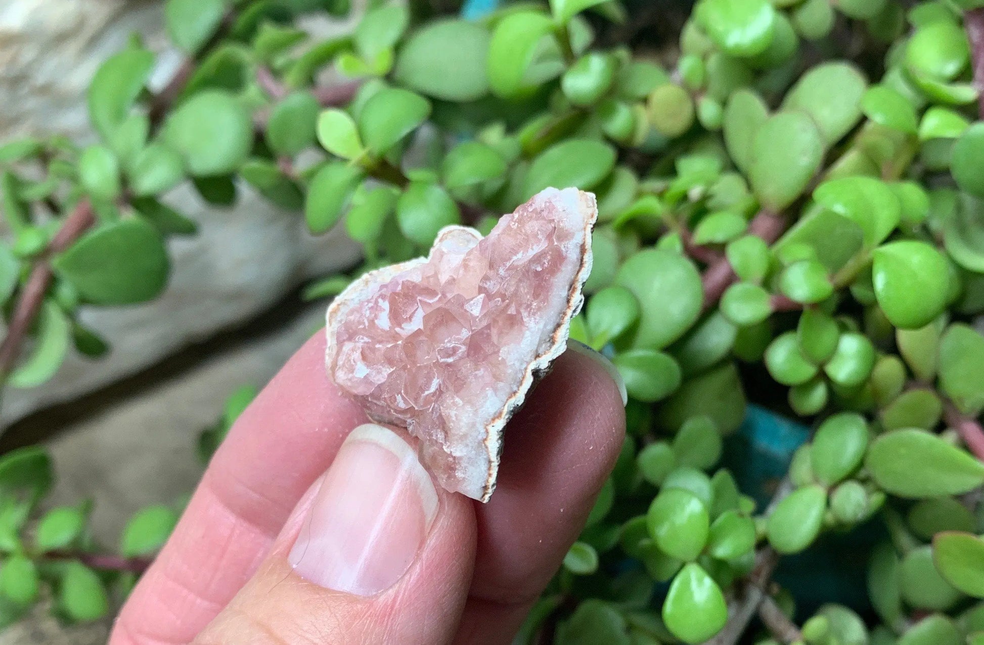 Pink Amethyst Choique Mine ( Approx. 1 1/4”)   Pehuenches - Neuquén Argentina, Heart Healing, Gift Item CRY-0313 Shop Wholesale Crystals