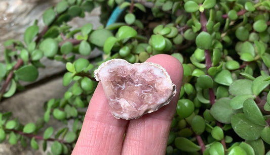 Pink Amethyst Choique Mine ( Approx. 1 1/2”)  Pehuenches - Neuquén Argentina, Heart Healing, Gift Item CRY-0308 Shop Wholesale Crystals