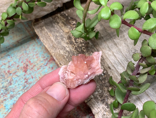 Pink Amethyst Choique Mine ( Approx. 1 1/2”)  Pehuenches - Neuquén Argentina, Heart Healing, Gift Item CRY-0305 Shop Wholesale Crystals