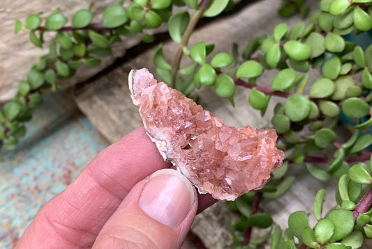 Pink Amethyst Choique Mine ( Approx. 2”)  Pehuenches - Neuquén Argentina, Heart Healing, Gift Item CRY-0301 Shop Wholesale Crystals