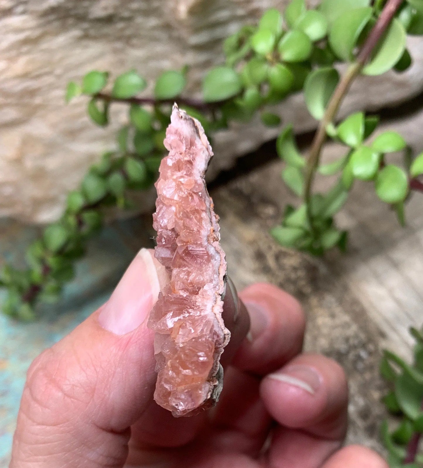 Pink Amethyst Choique Mine ( Approx. 2”)  Pehuenches - Neuquén Argentina, Heart Healing, Gift Item CRY-0301 Shop Wholesale Crystals