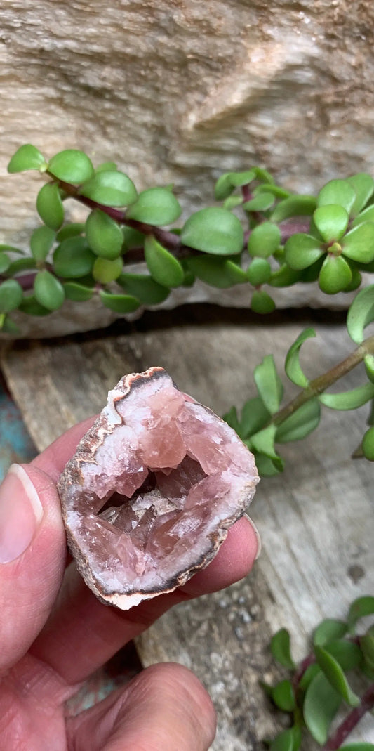 Pink Amethyst Choique Mine ( Approx. 1 3/4”)  Pehuenches - Neuquén Argentina, Heart Healing, Gift Item CRY-0300 Shop Wholesale Crystals