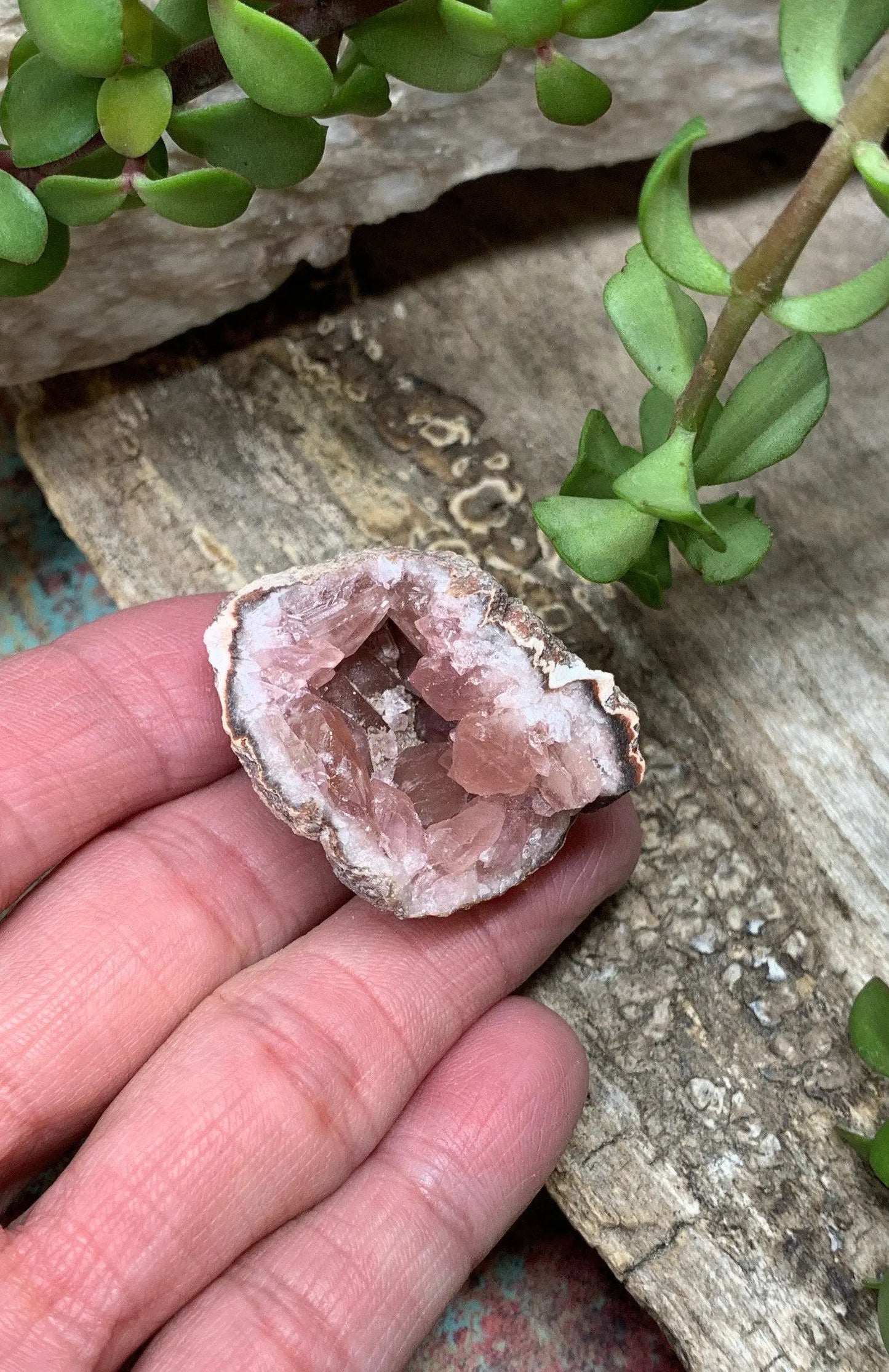 Pink Amethyst Choique Mine ( Approx. 1 3/4”)  Pehuenches - Neuquén Argentina, Heart Healing, Gift Item CRY-0300 Shop Wholesale Crystals
