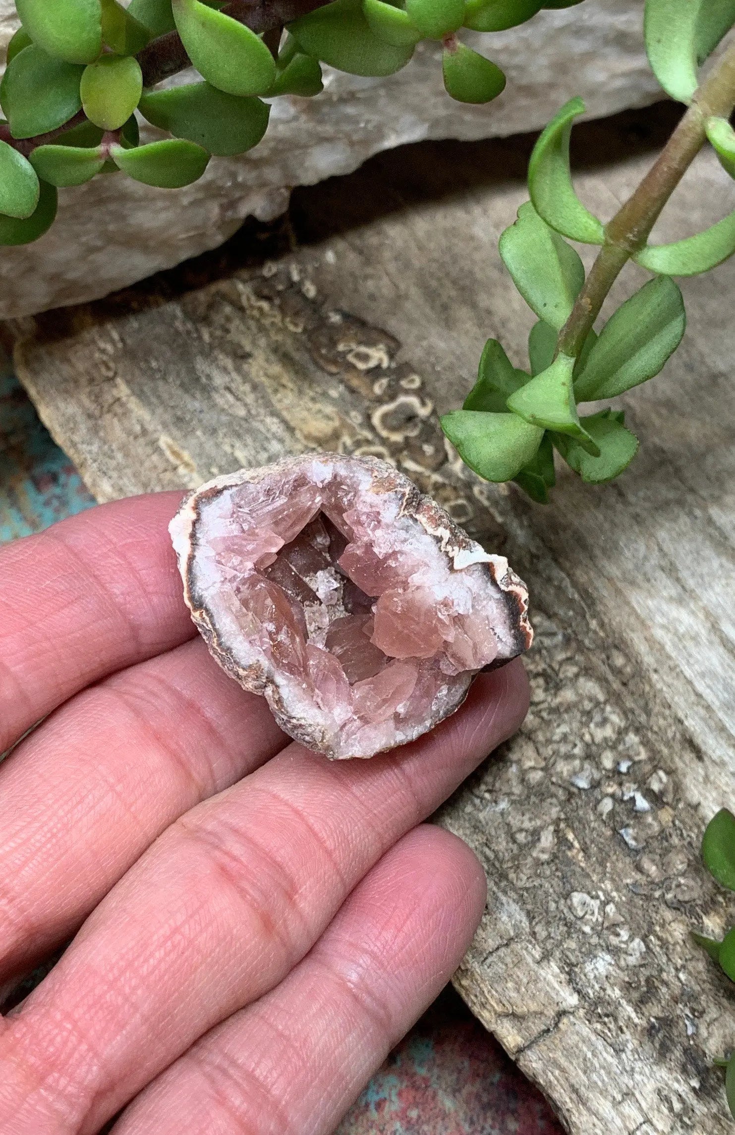 Pink Amethyst Choique Mine ( Approx. 1 3/4”)  Pehuenches - Neuquén Argentina, Heart Healing, Gift Item CRY-0300 Shop Wholesale Crystals