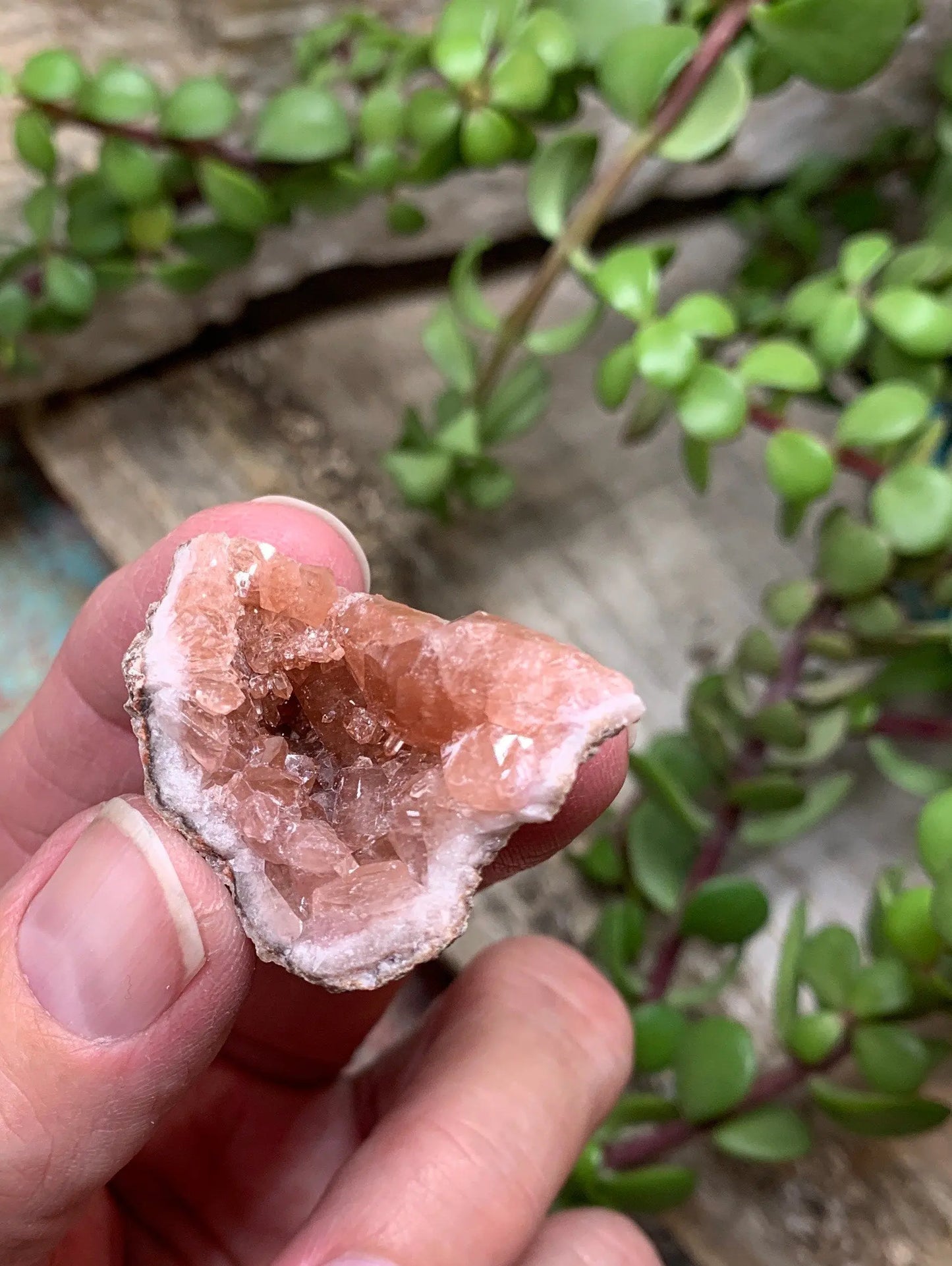 Pink Amethyst Choique Mine ( Approx. 1 3/4”)  Pehuenches - Neuquén Argentina, Heart Healing, Gift Item CRY-0298 Shop Wholesale Crystals