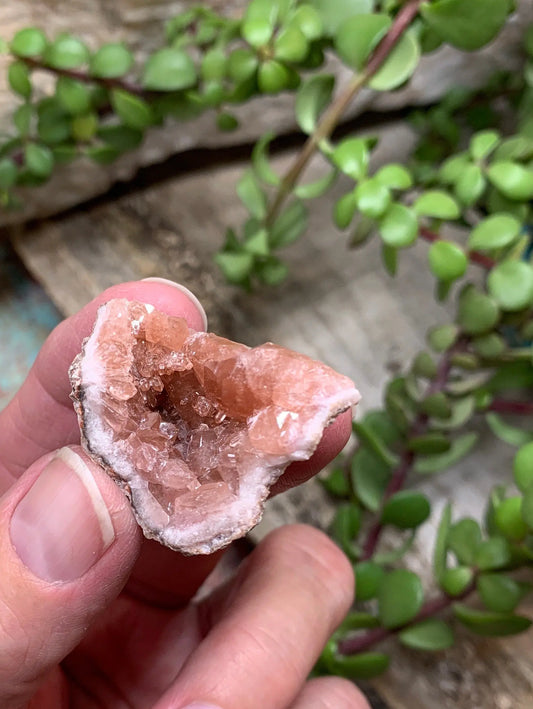 Pink Amethyst Choique Mine ( Approx. 1 3/4”)  Pehuenches - Neuquén Argentina, Heart Healing, Gift Item CRY-0298 Shop Wholesale Crystals